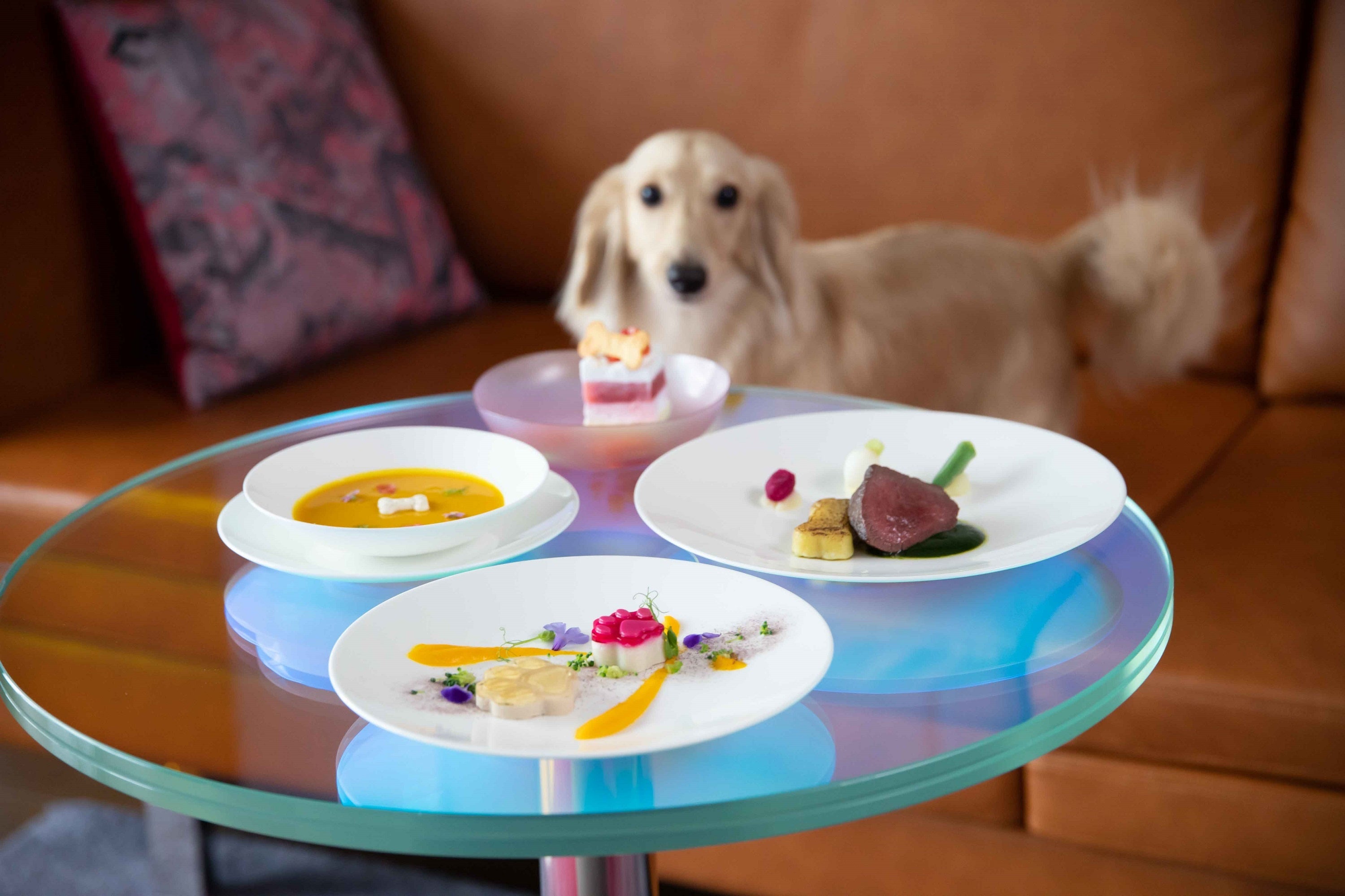 ワンちゃんのためのシェフ特製コース（イメージ）