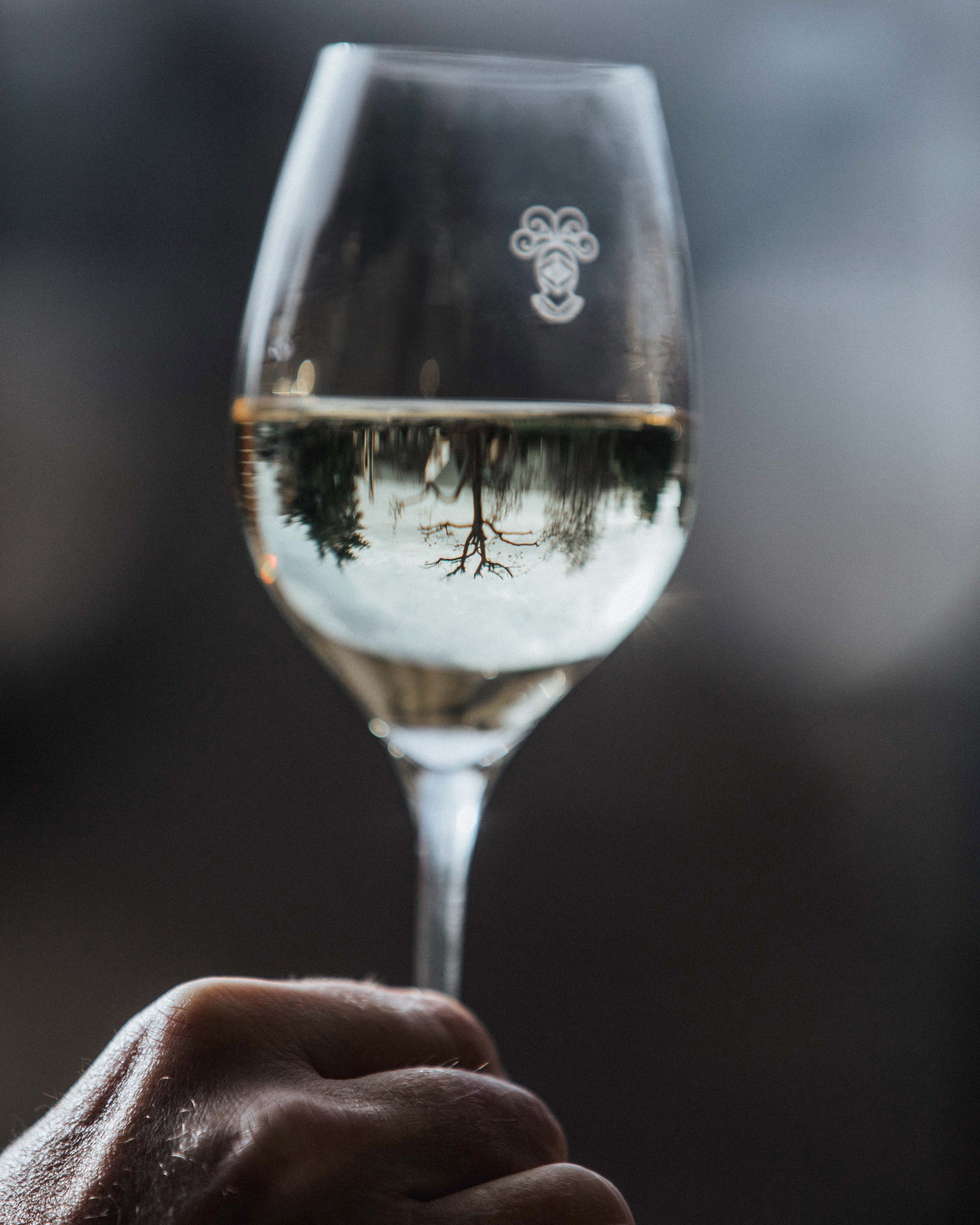 「セントレジス・セレブレーション with テルモン」