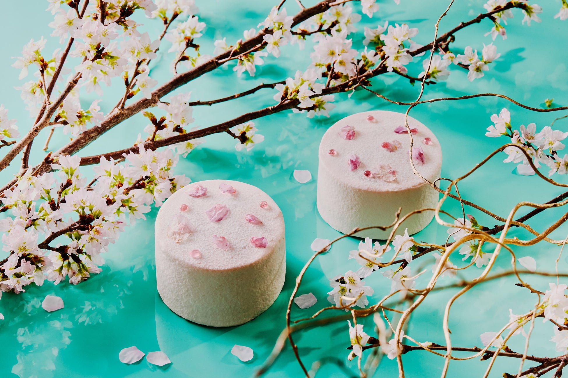 「セント レジス ホテル 大阪」「桜シフォンケーキ」600円