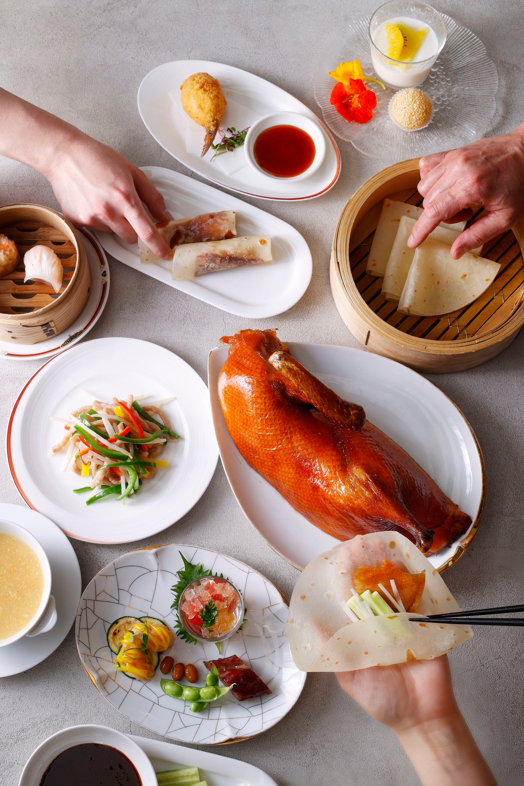 ファミリー特別コース（イメージ）