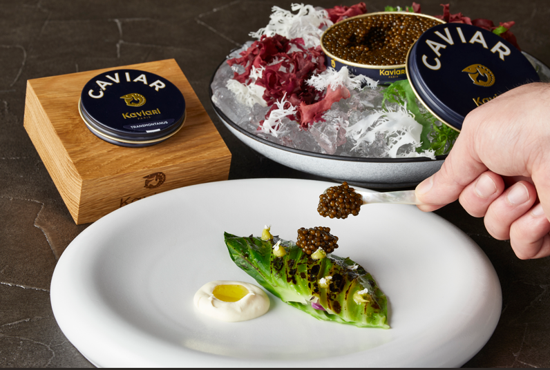 キャビアリ・キャビア × アイアン・ベイ