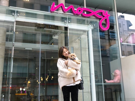 【モクシー大阪本町】モクシーが提案する“ペットフレンドリー”のかたち 【モクシー大阪本町】モクシーが提案する“ペットフレンドリー”のかたち