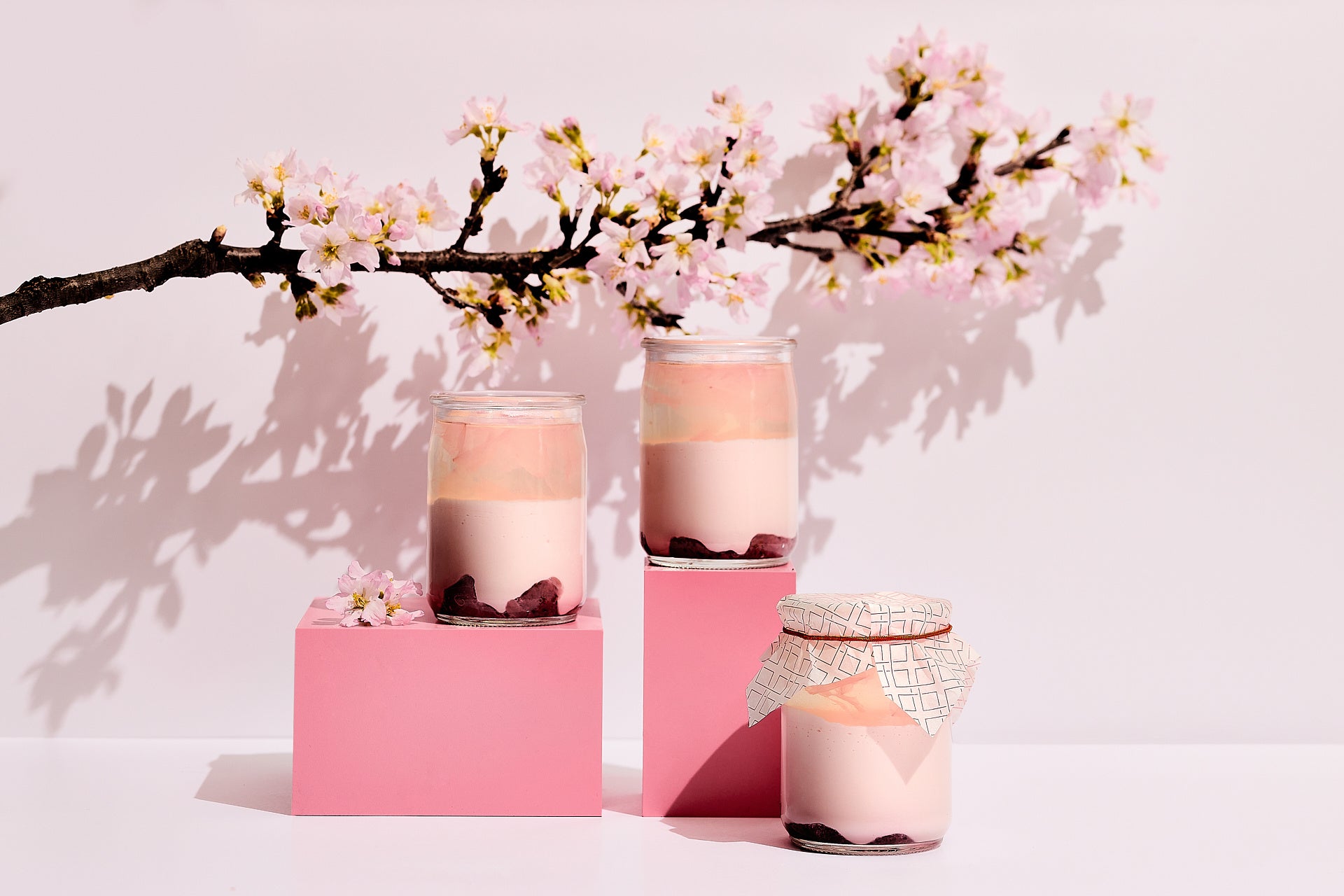 桜パンナコッタ