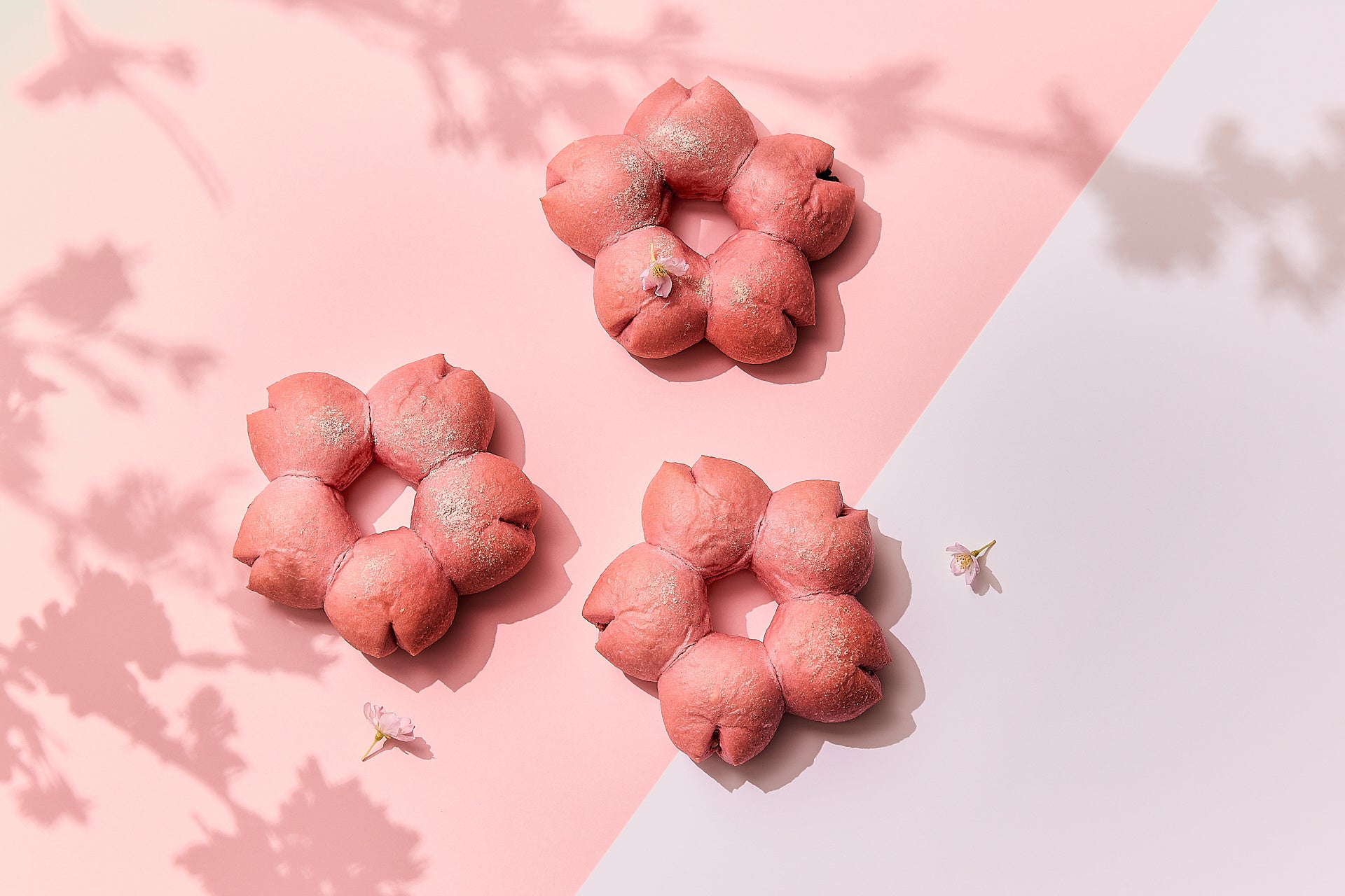 桜あんぱん