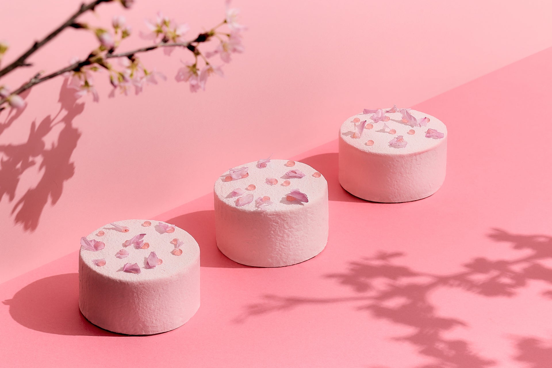 シフォンケーキ 桜クリーム&ストロベリー