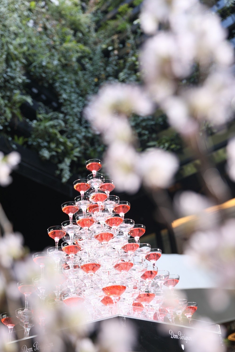 桜の木に見立てたシャンパンタワー