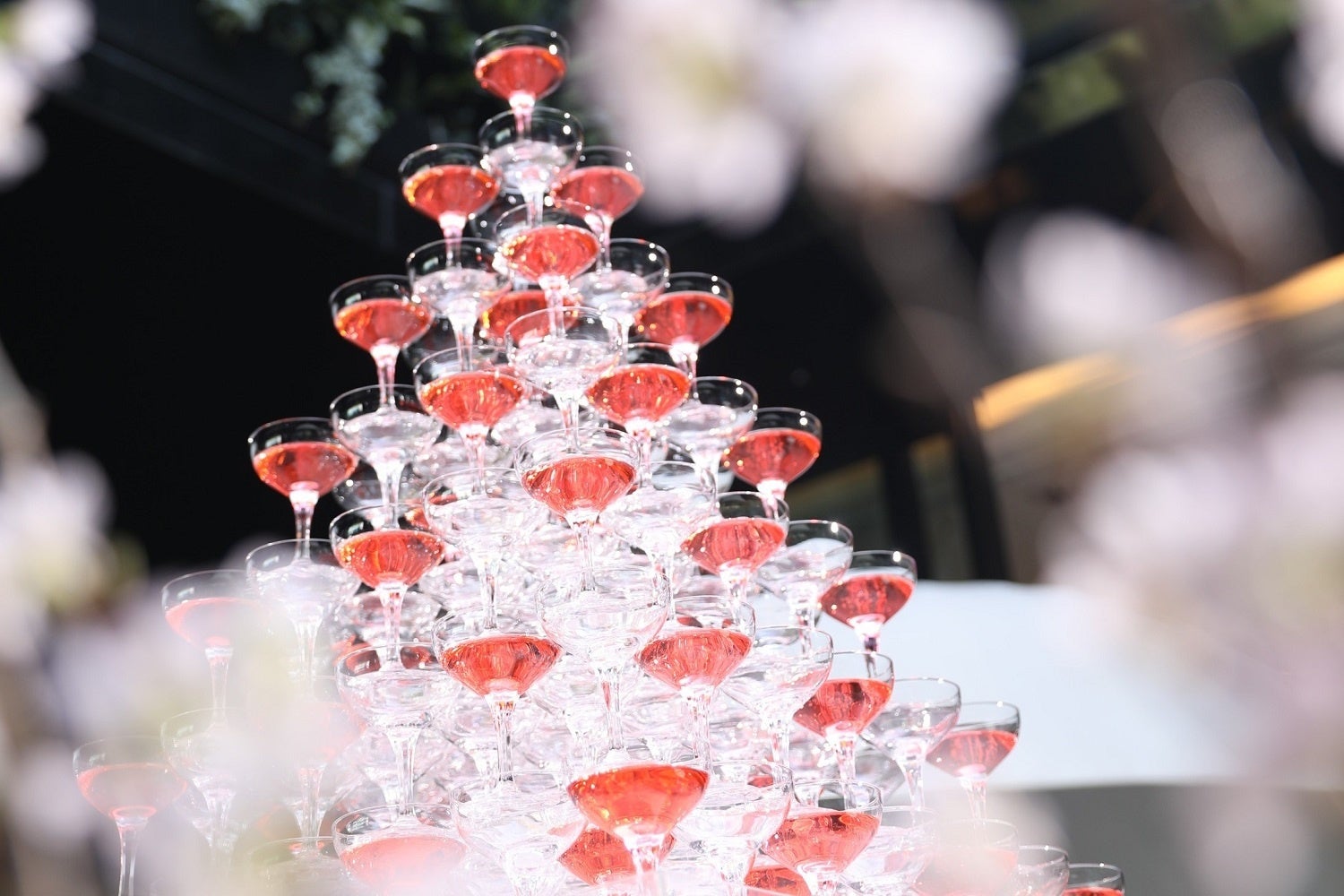 桜の木に見立てたシャンパンタワー