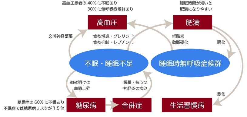 ※図2：「健やかな眠りの意義」厚生労働省　生活習慣病予防のための健康情報サイト　e-ヘルスネット