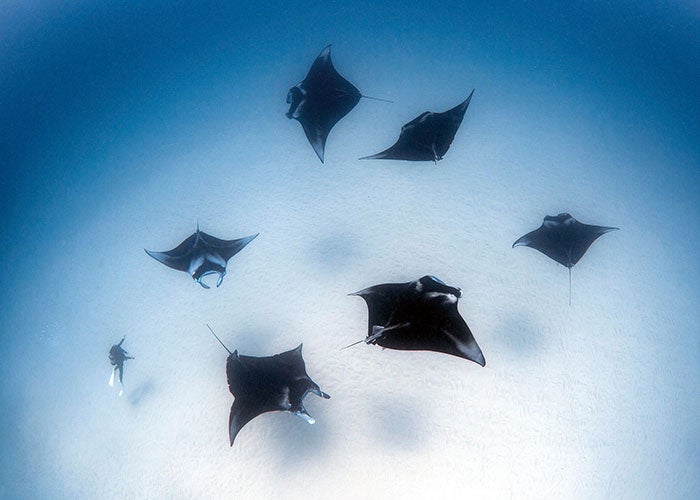 「求愛」 吾川真之