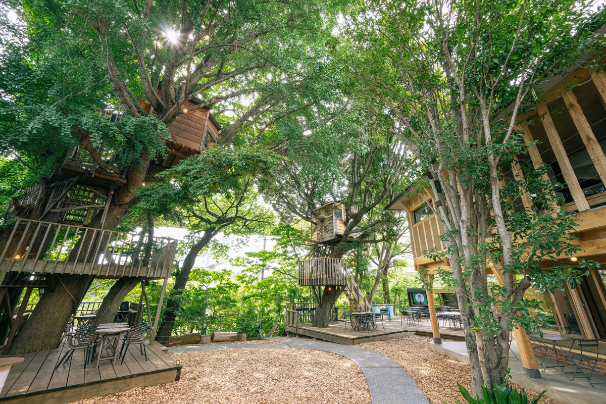拓匠開発が視察ツアー「PEACEFUL CAMP」を開始へ 千葉公園周辺の「ネバーランド構想」から平屋の街づくりまで、現場で学ぶ2日間