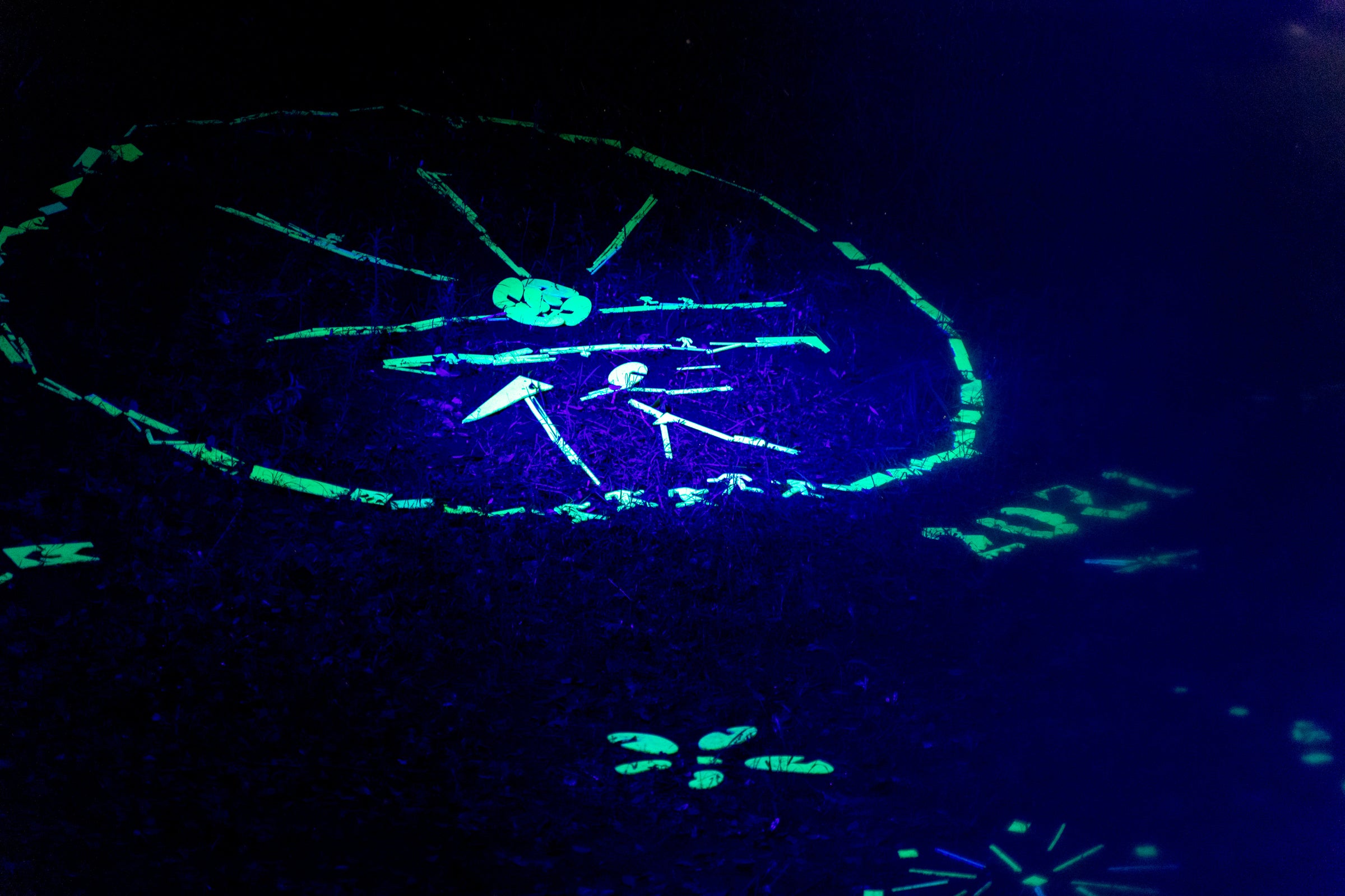 YohaS2021の様子。