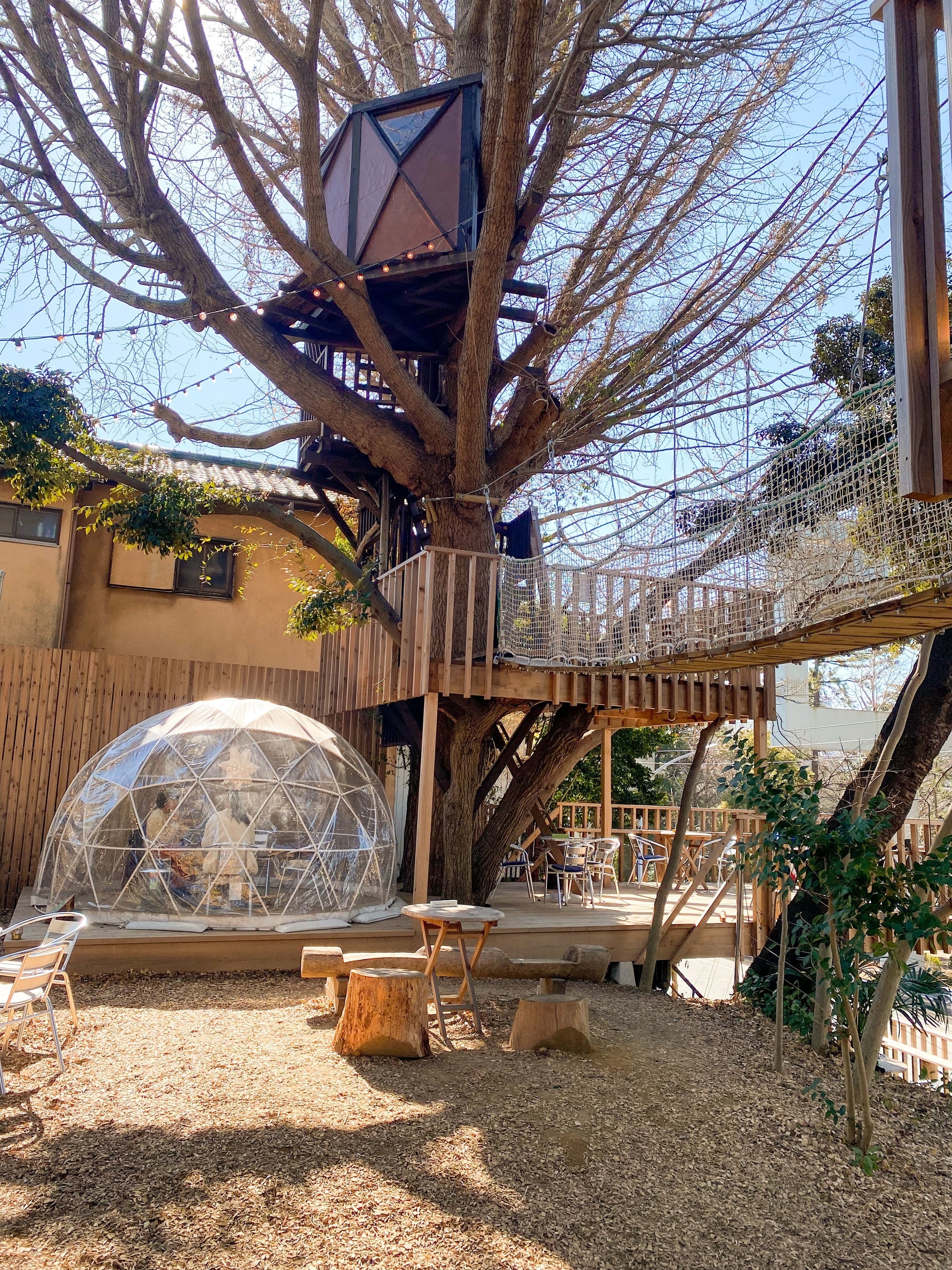 ツリーハウス「アルボ」