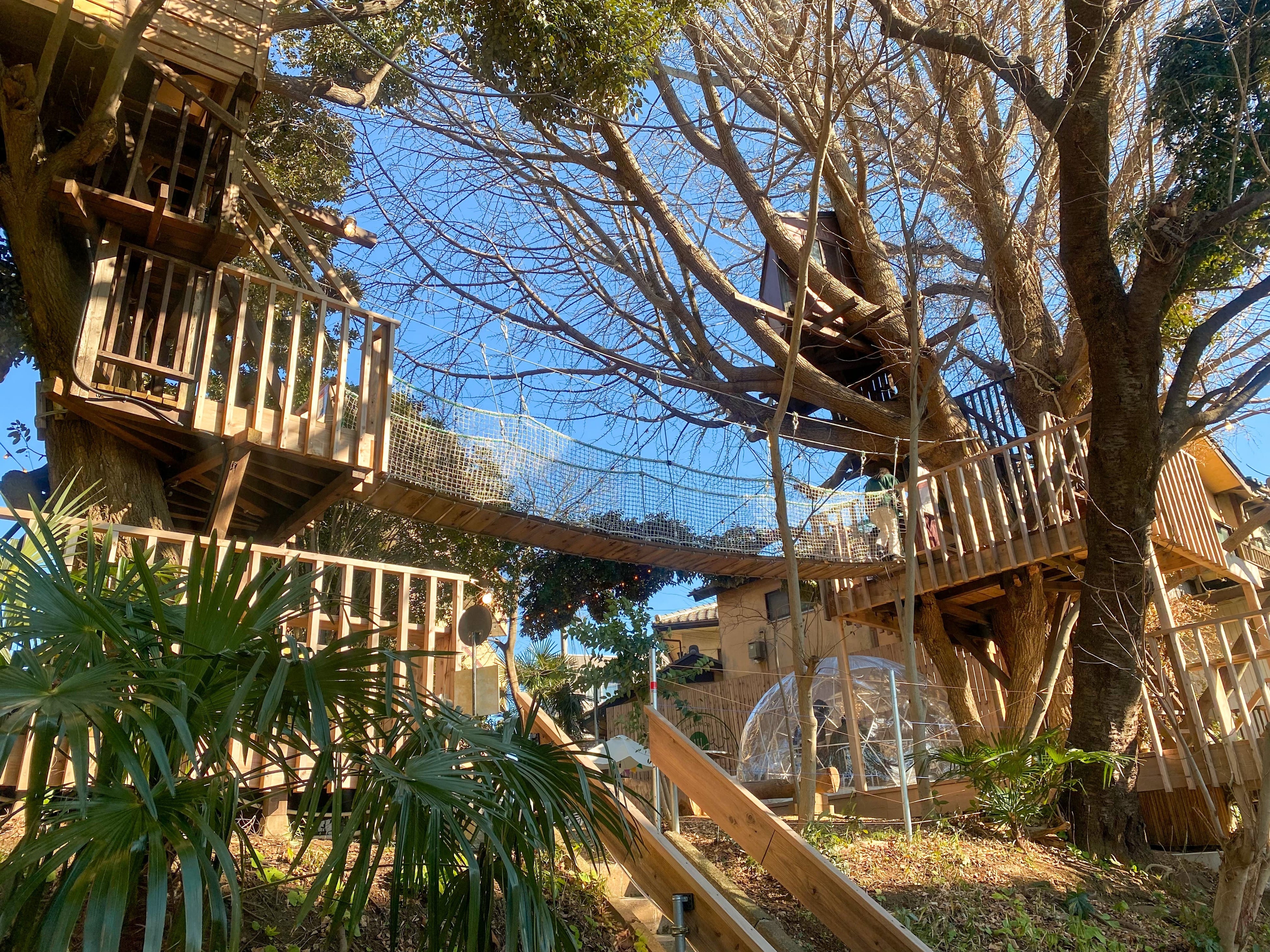 椿森コムナ入口