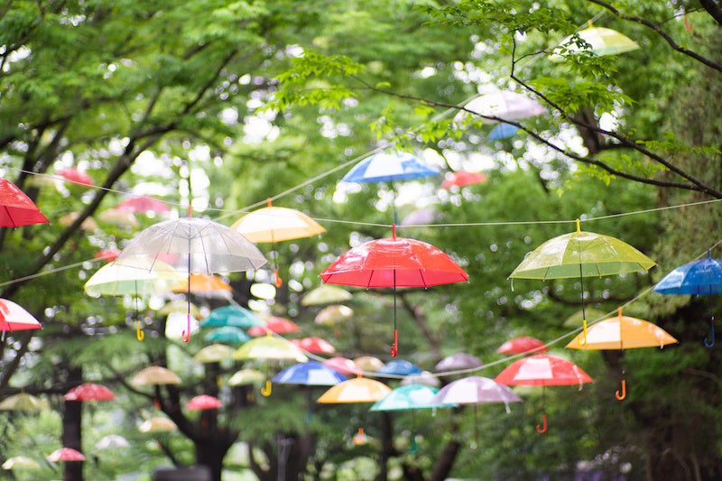 傘の森（2018年の様子）