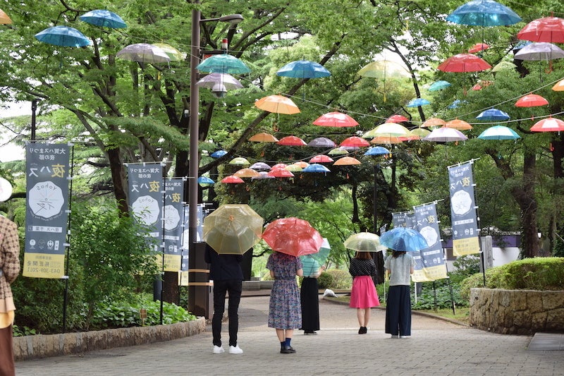 傘の森（2018年の様子）