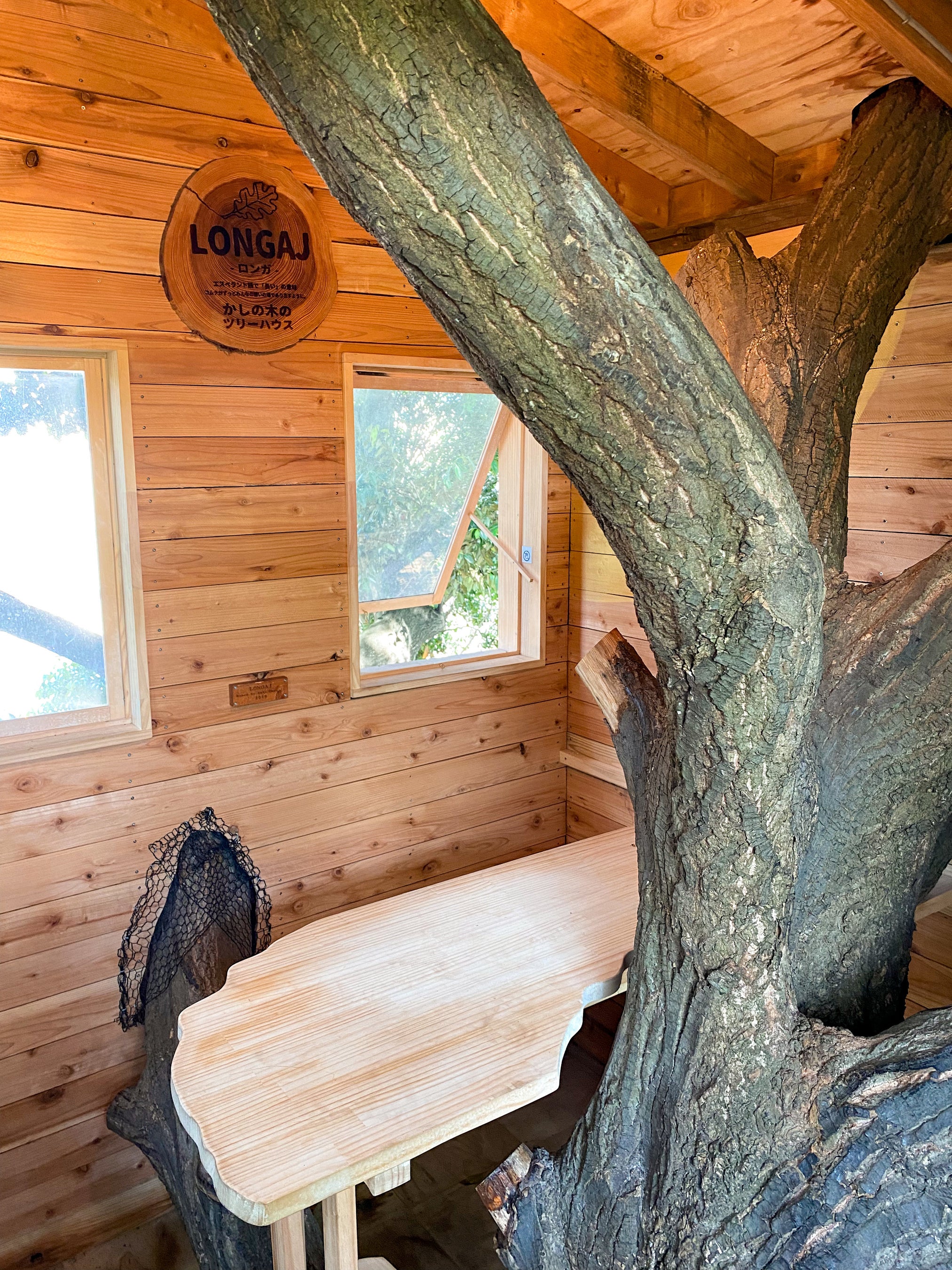ツリーハウス　「ロンガ」