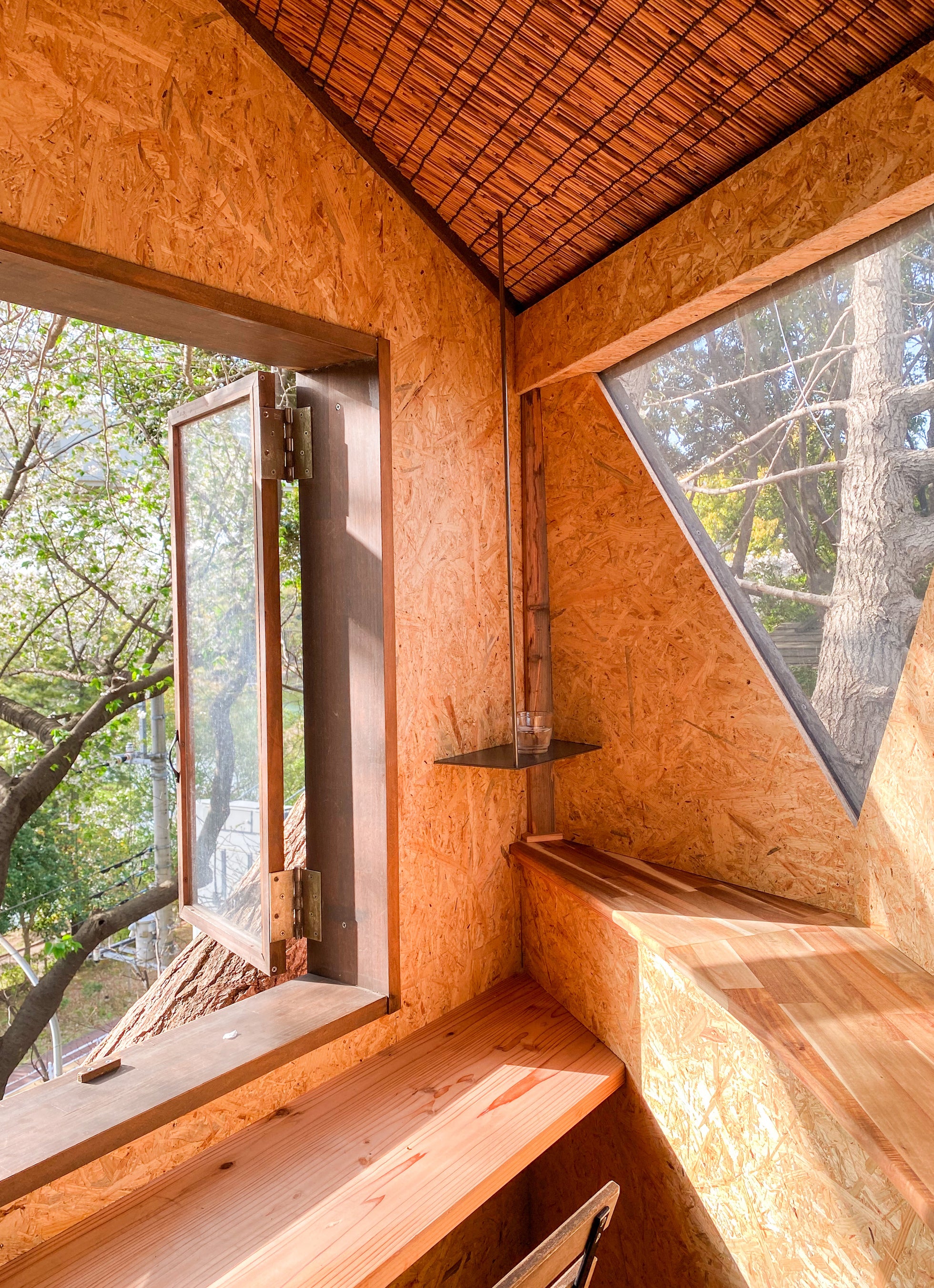 ツリーハウス　「アルボ」