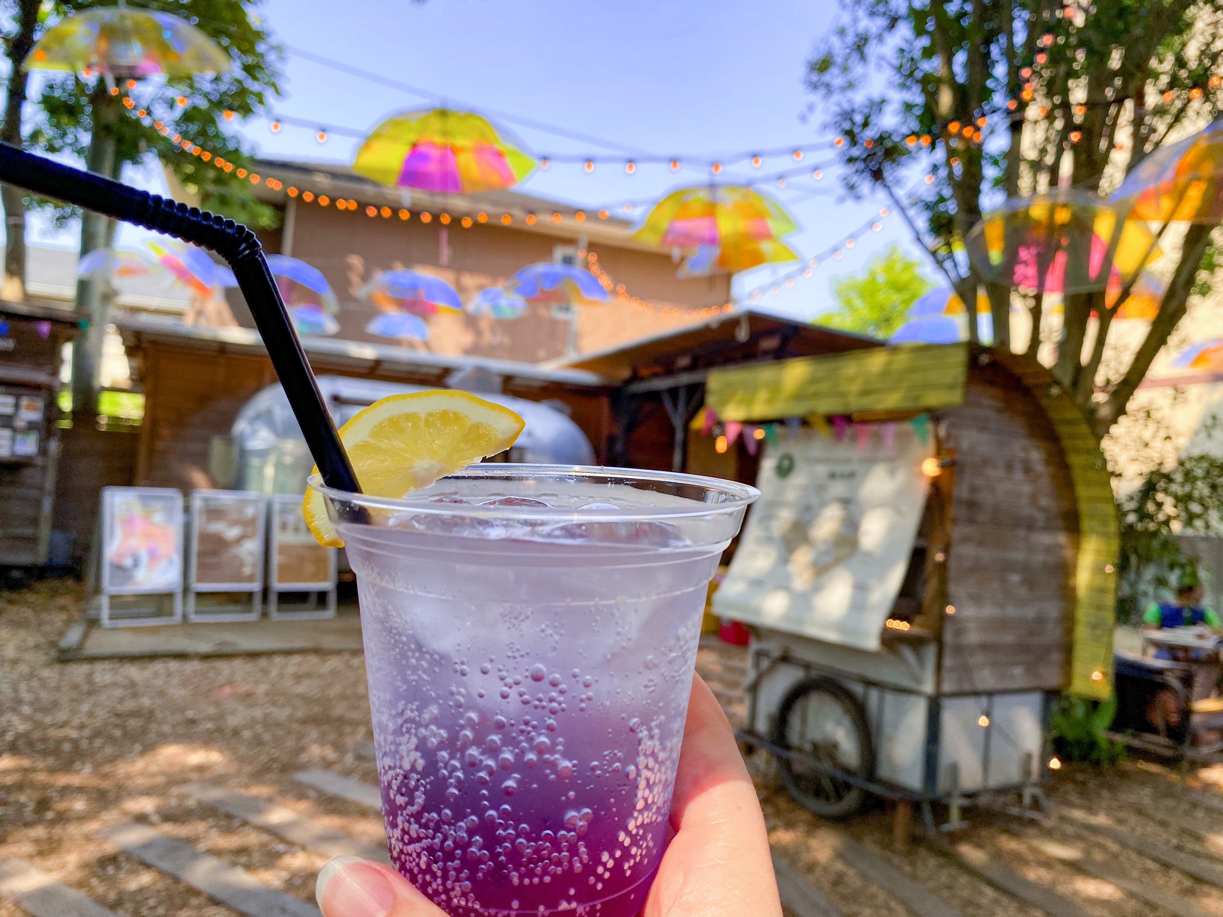 オーロラスカッシュ