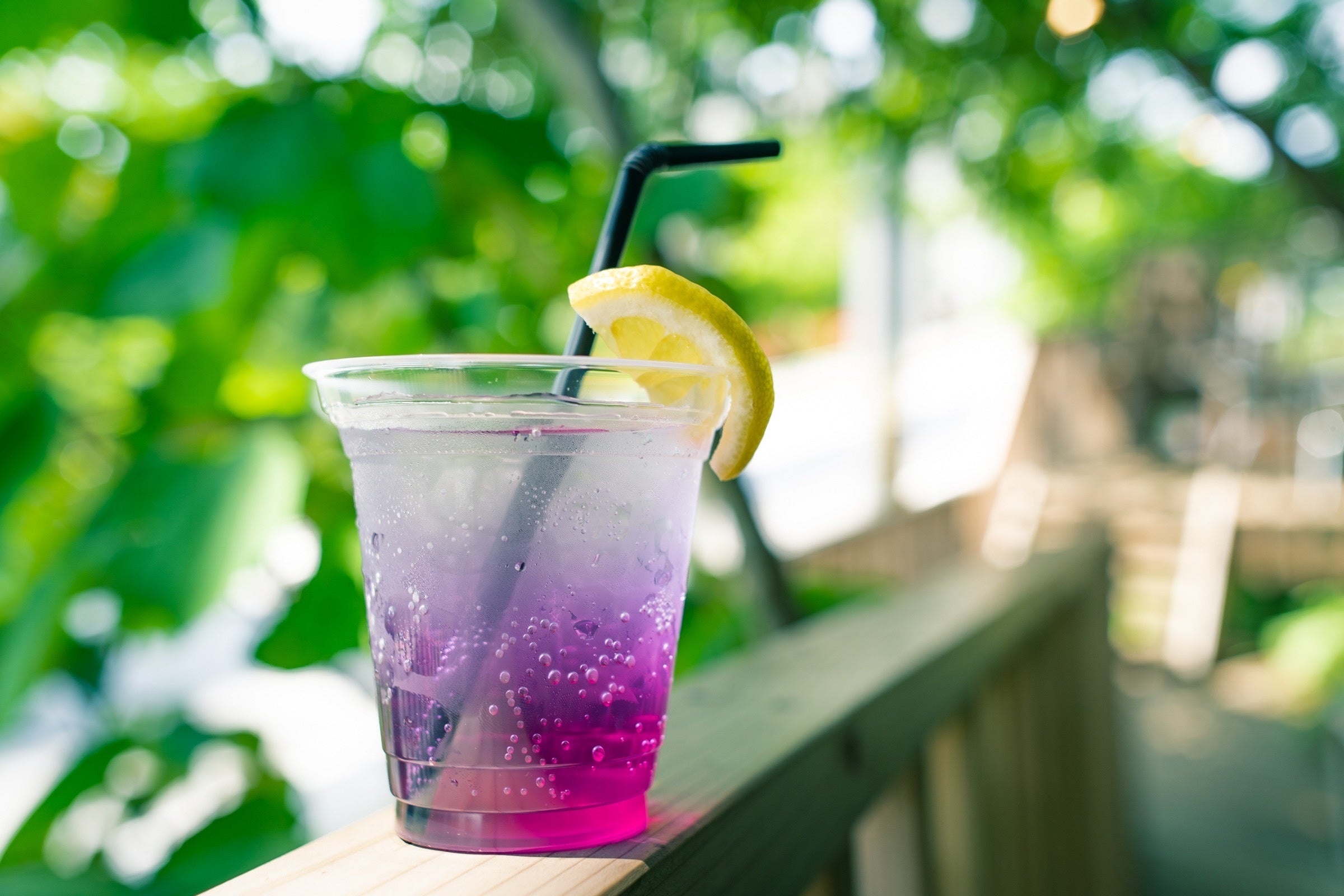 オーロラスカッシュ 390円