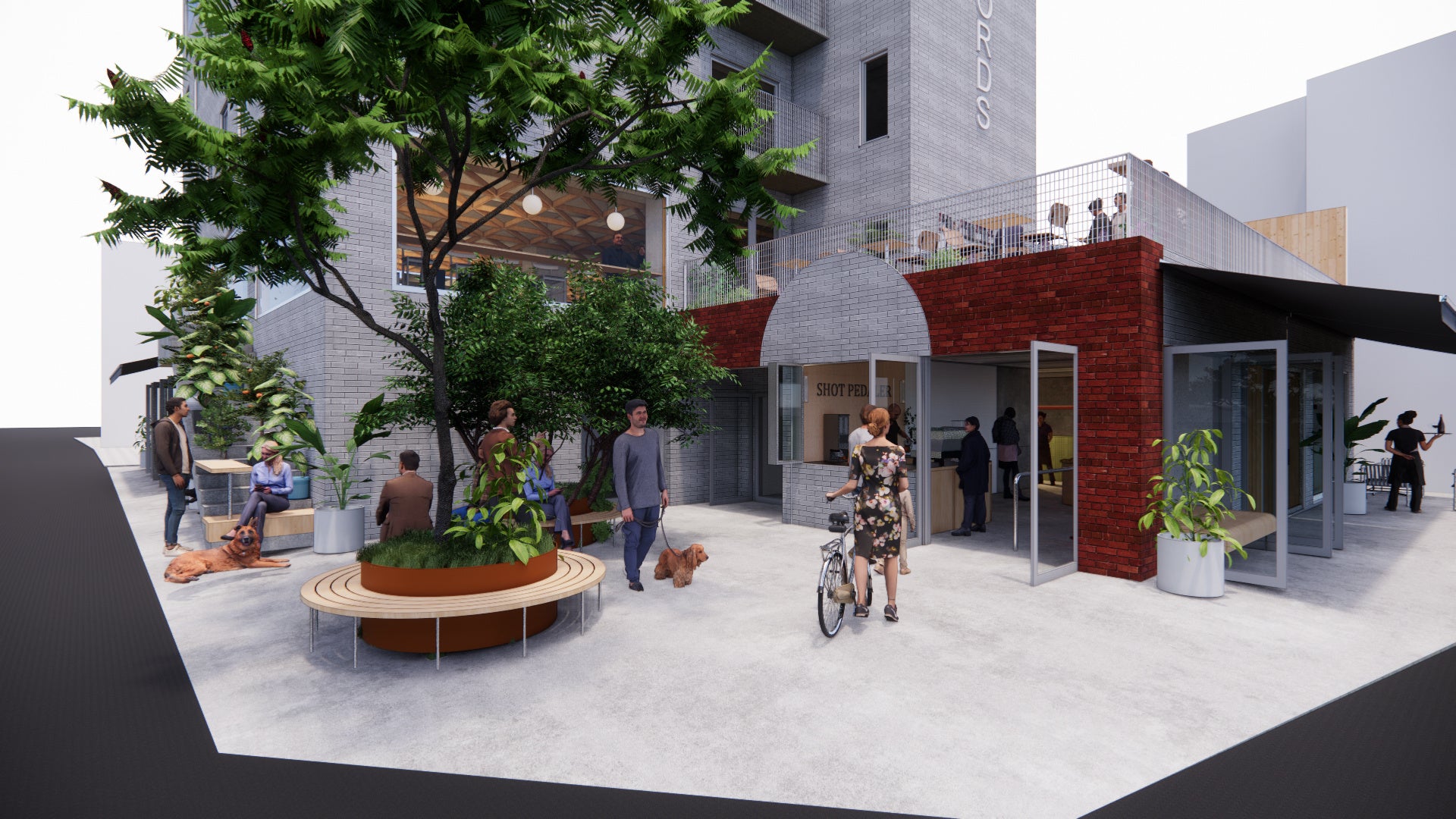 メインツリー　パース