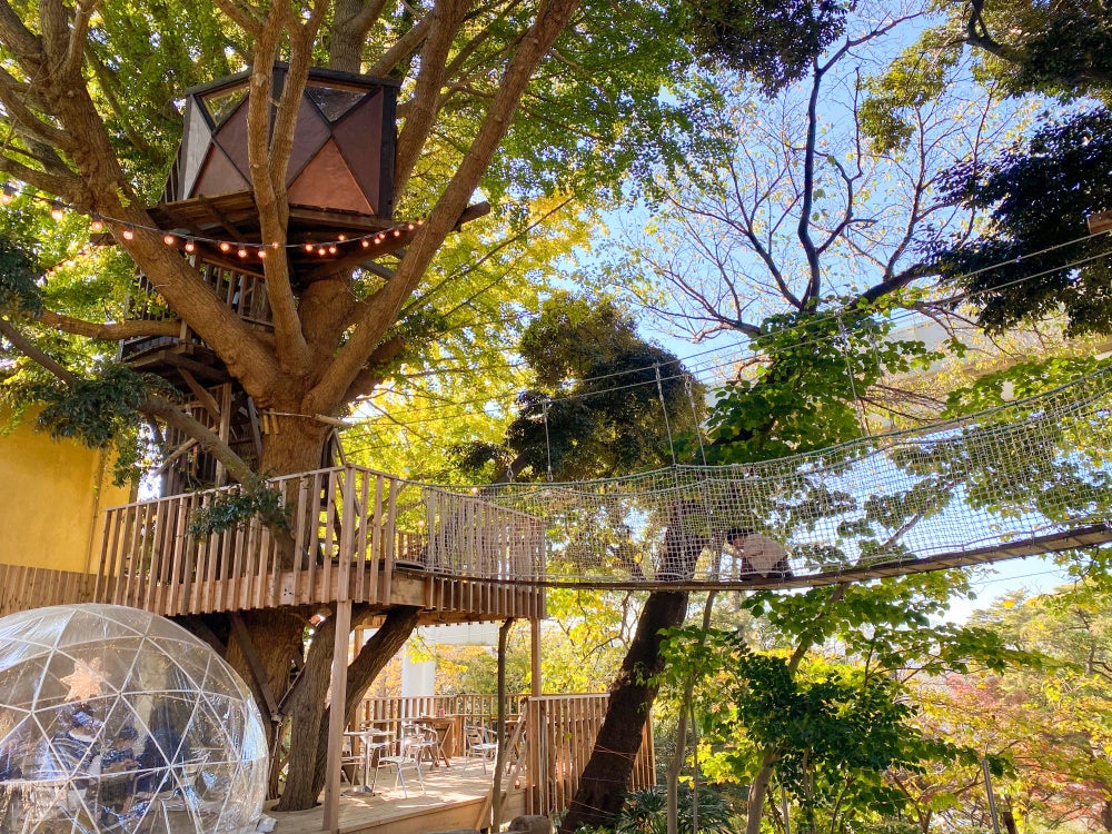 ツリーハウス「アルボ」
