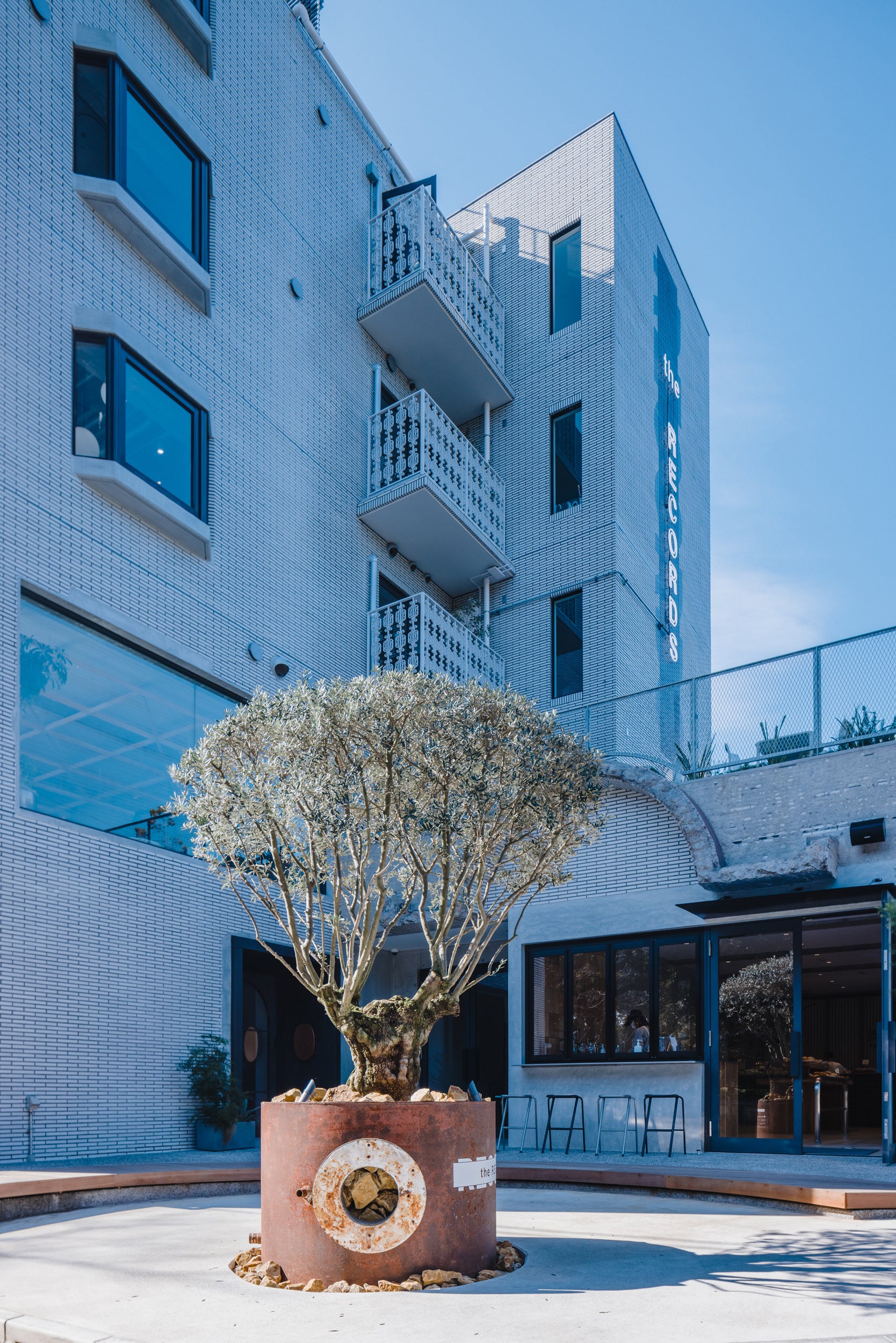 シンボルツリー