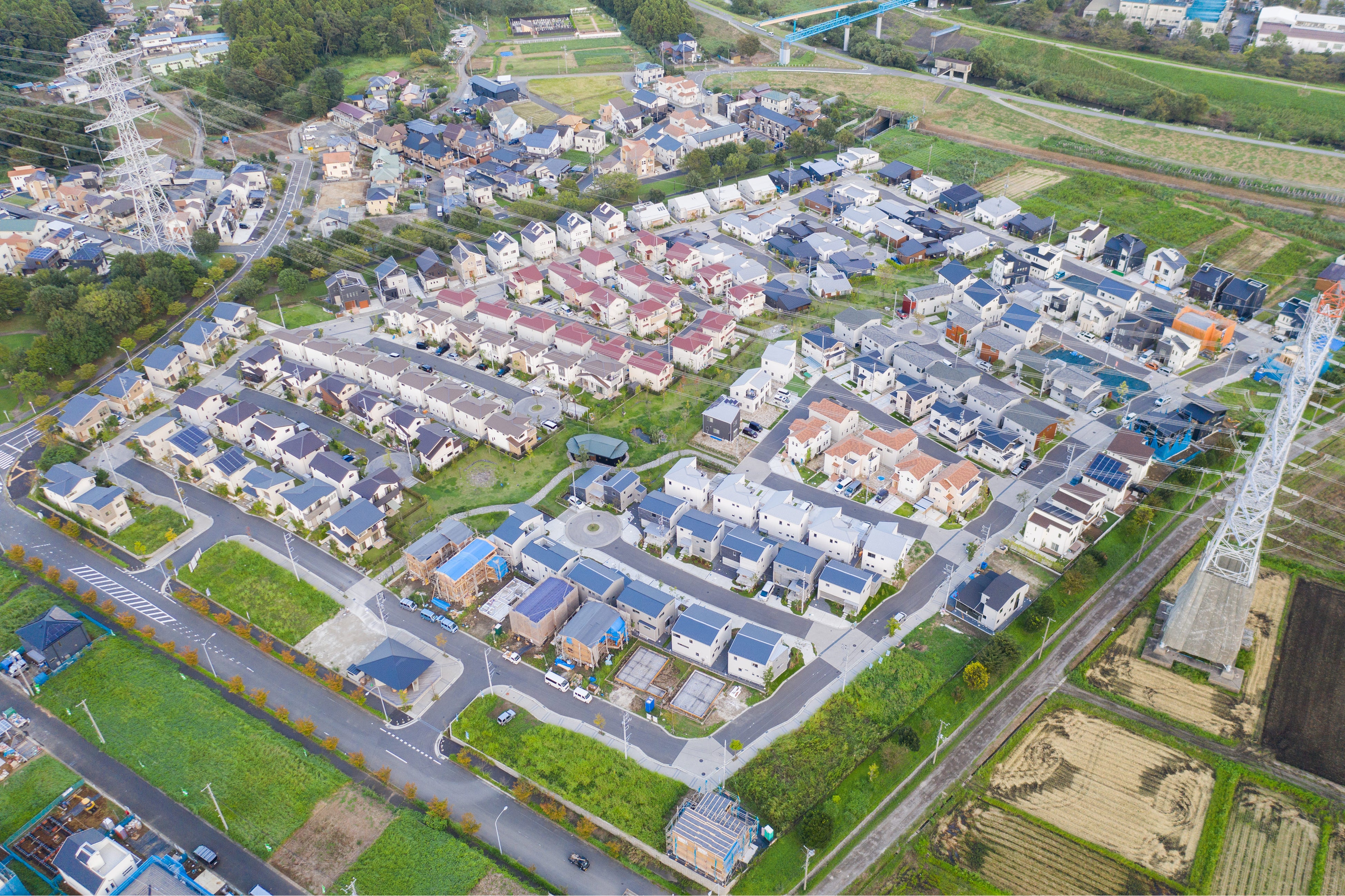 オオソラモ野田みずき