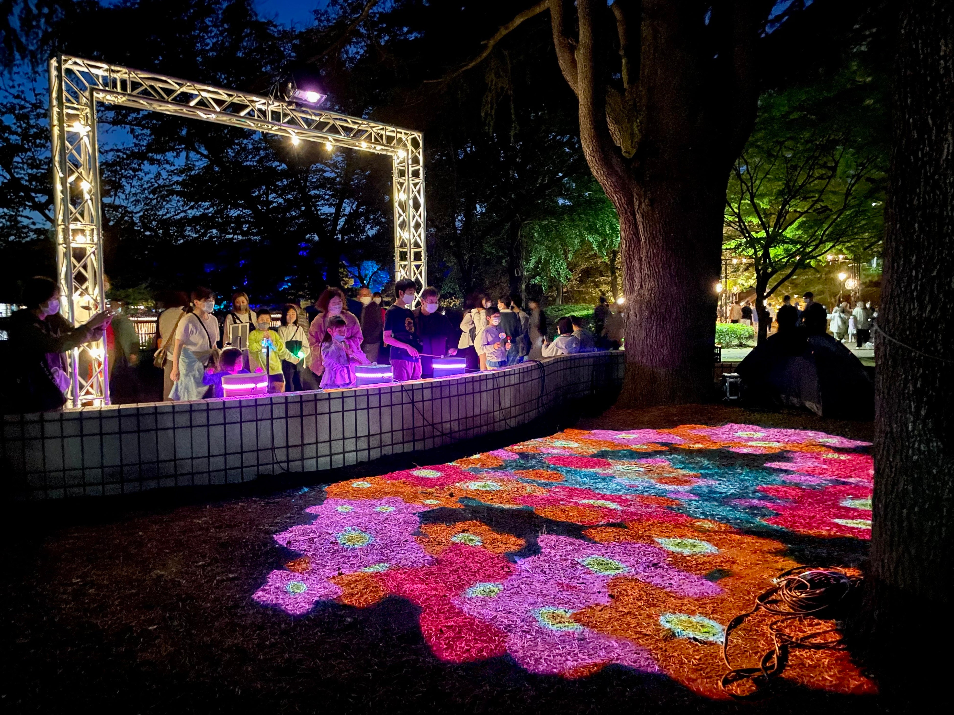 体験型デジタルアート