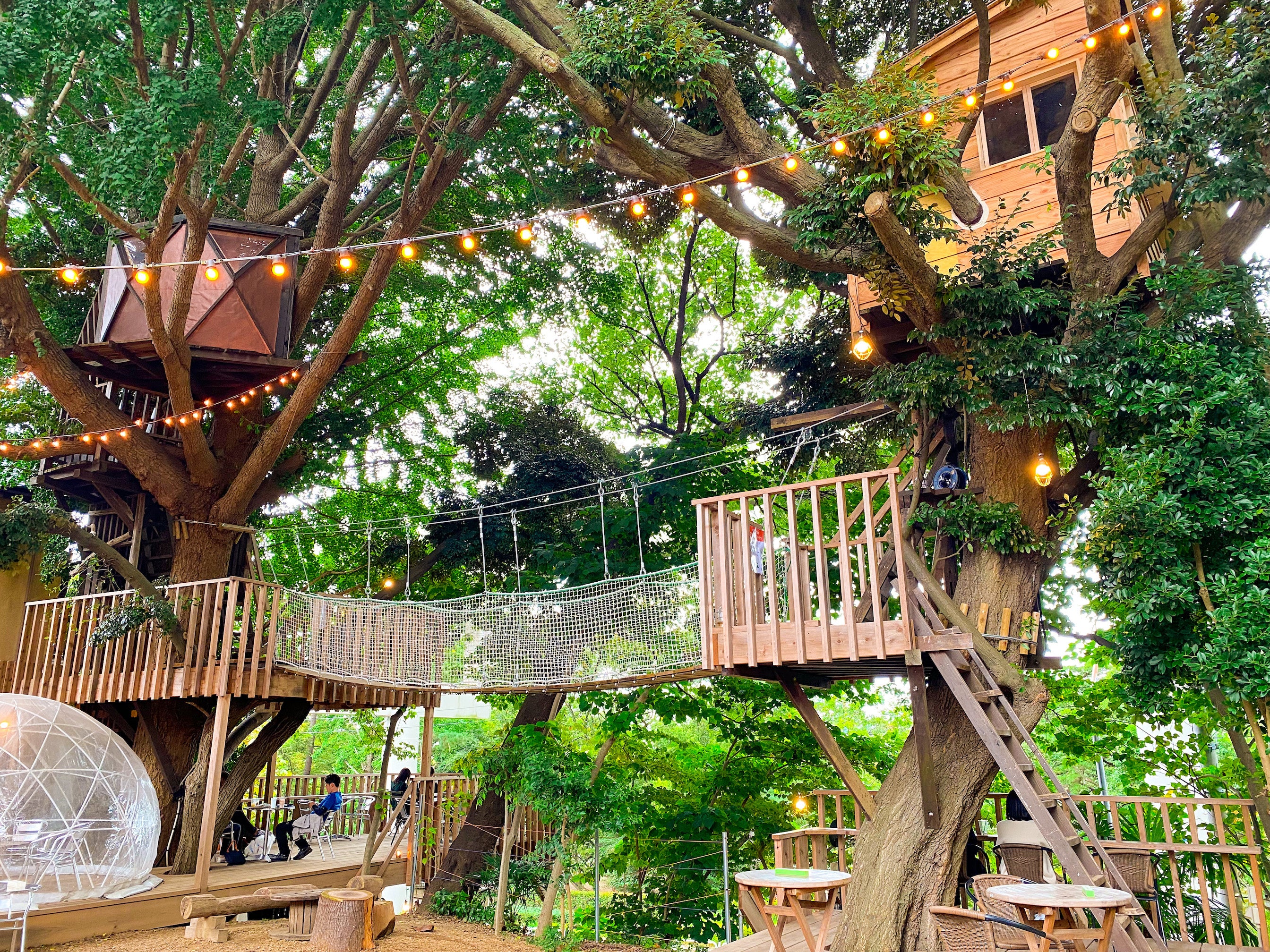 ２棟のツリーハウス