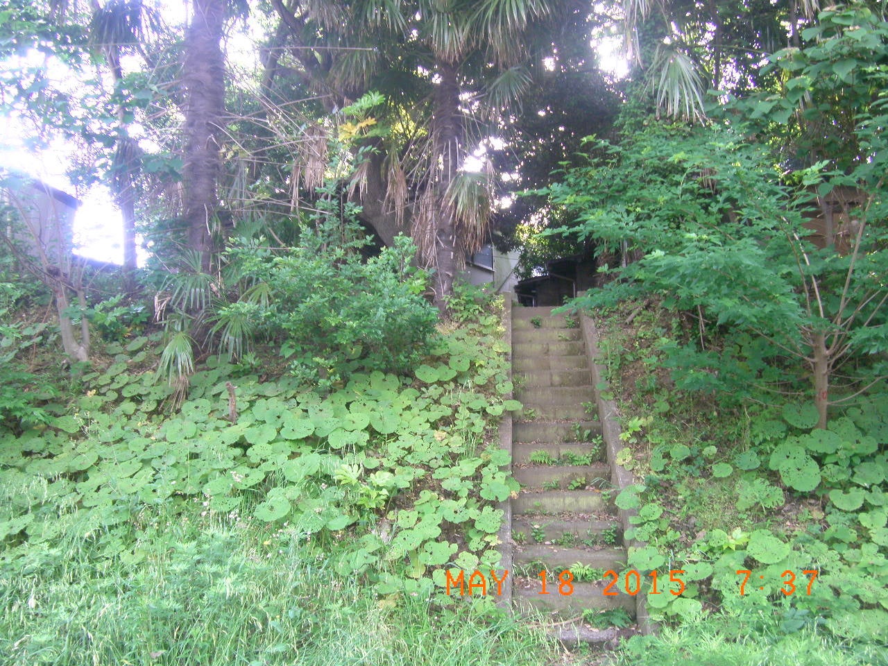 椿森コムナ誕生前