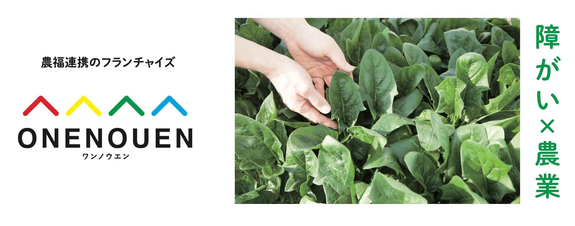 百味菜々　コエランス 先進農業×障がい者雇用。就労継続支援AB多機能型『ONENOUEN