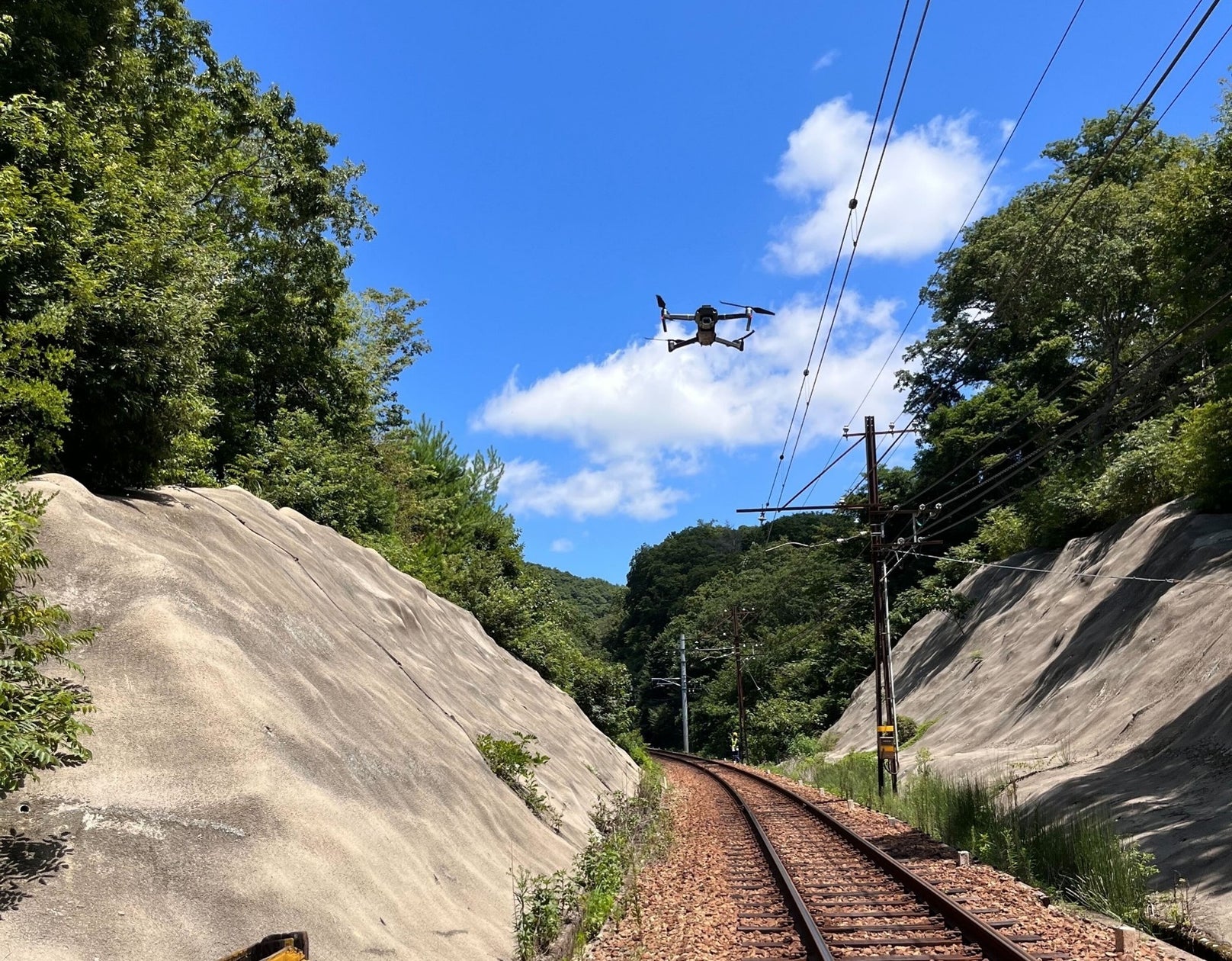 DeepForest社、神戸電鉄と線路沿いの枯死木検出に関する実証実験を実施 | DeepForest Technologies 株式会社のプレスリリース