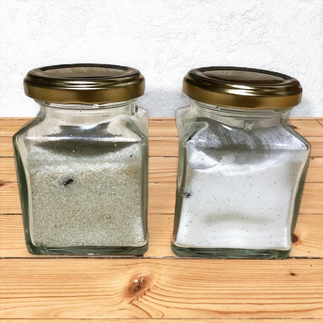 販売に先駆けてプレゼント！