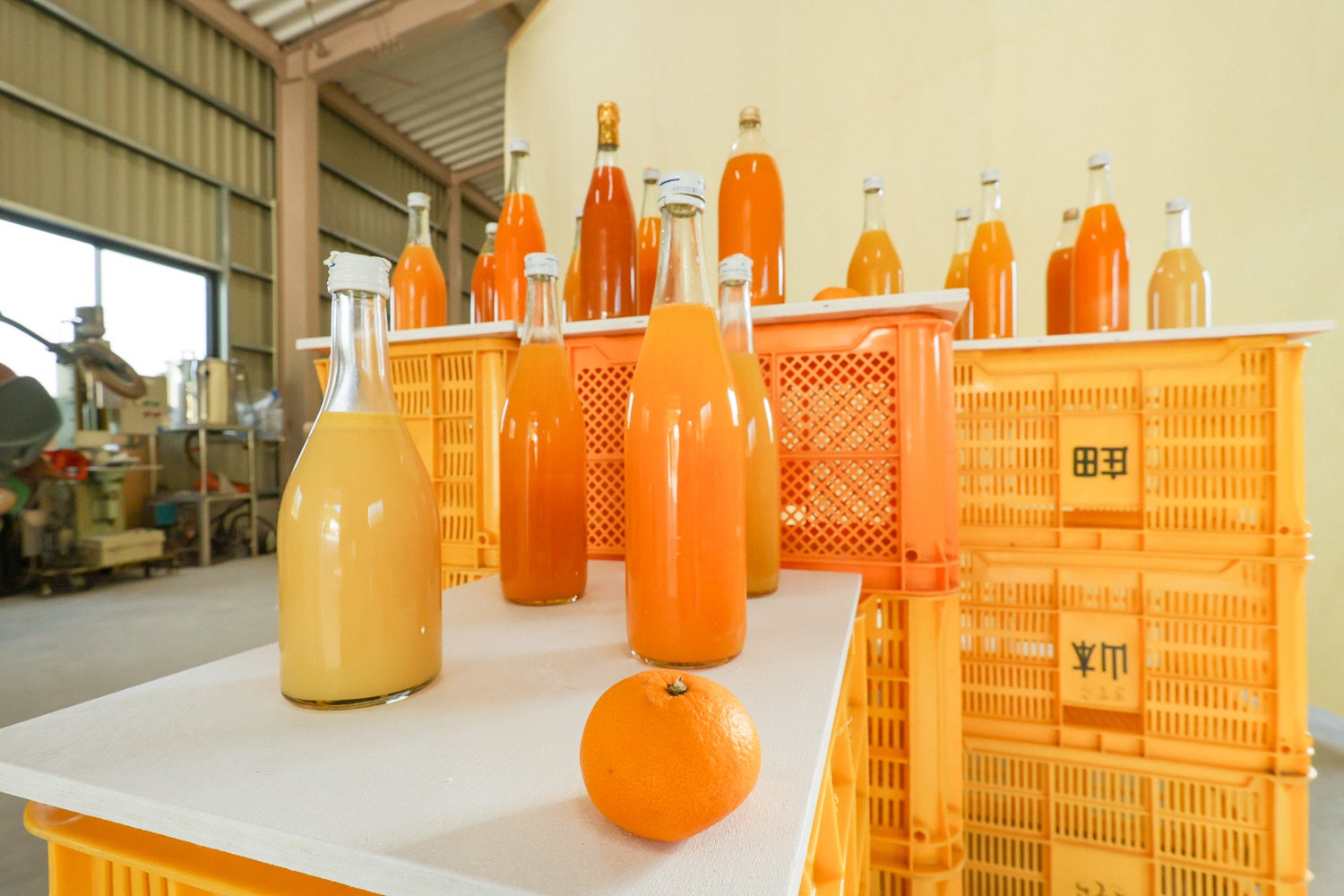 テーマ「実り果実を巡る旅」