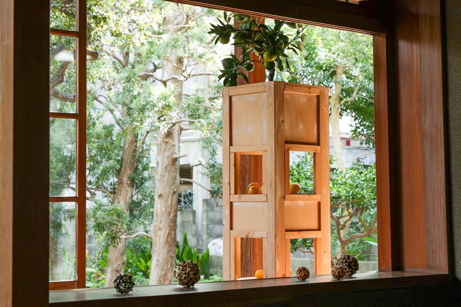 テーマ「菌と共生菌根ネットワーク」