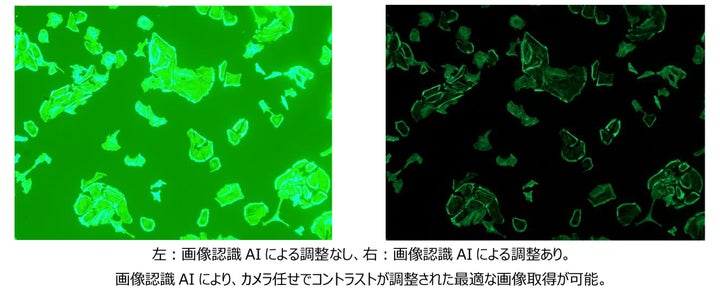 Dp75 Camera 顕微鏡用デジタルカメラ「DP75」を発売 | 株式会社エビデントのプレスリリース