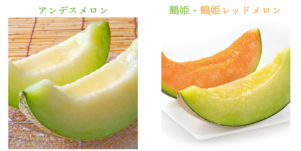 味わいが異なる3種類の品種。青肉の「アンデス」「鶴姫」赤肉の「鶴姫レッド」