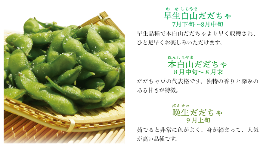 収穫時期よって味わいが異なる3種類のだだちゃ豆