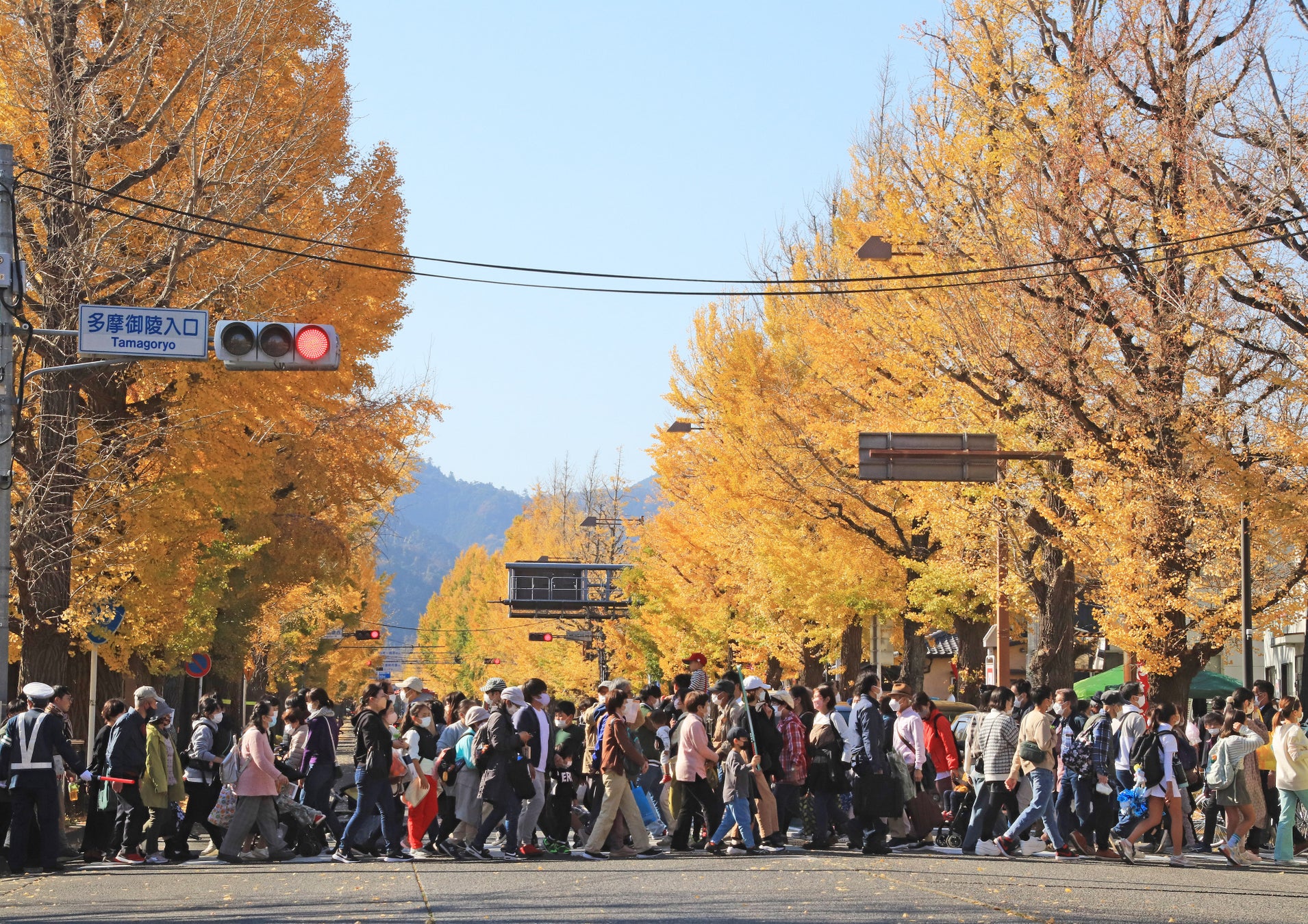 写真提供:八王子いちょう祭り祭典委員会