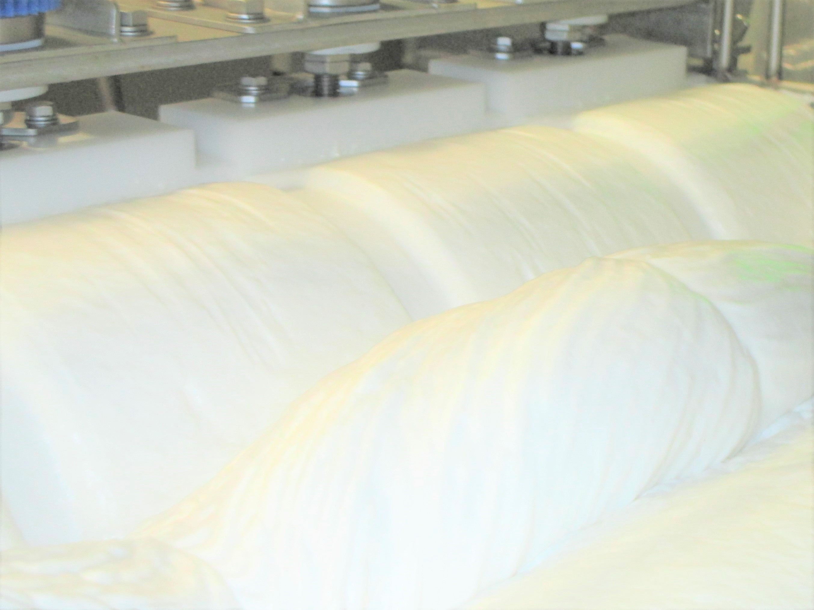 はんぺん製造ライン（成形工程）