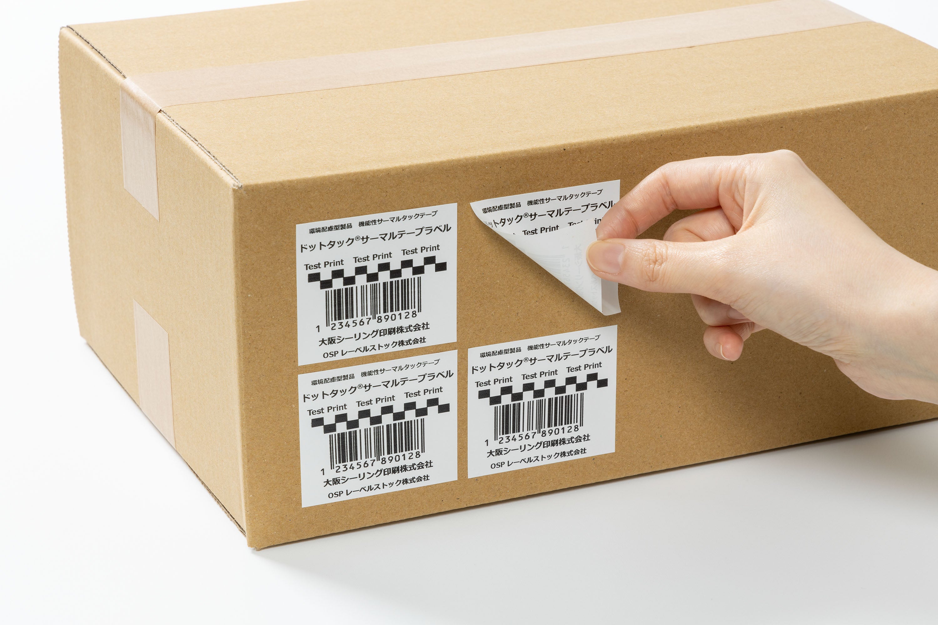 使用イメージ画像