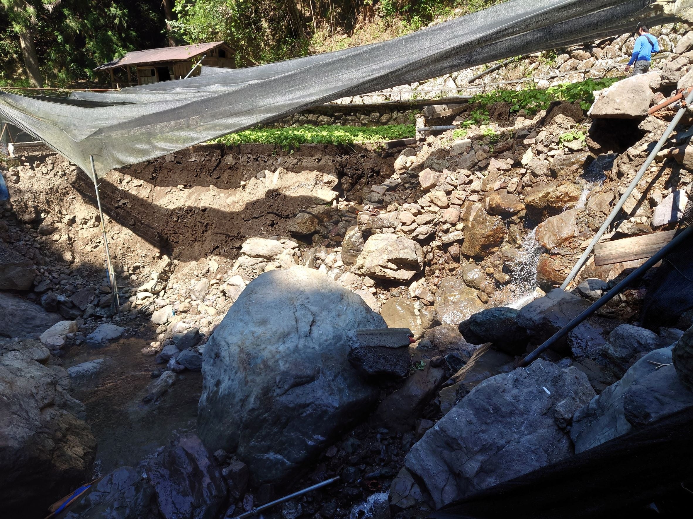 ▲崩壊したわさび田