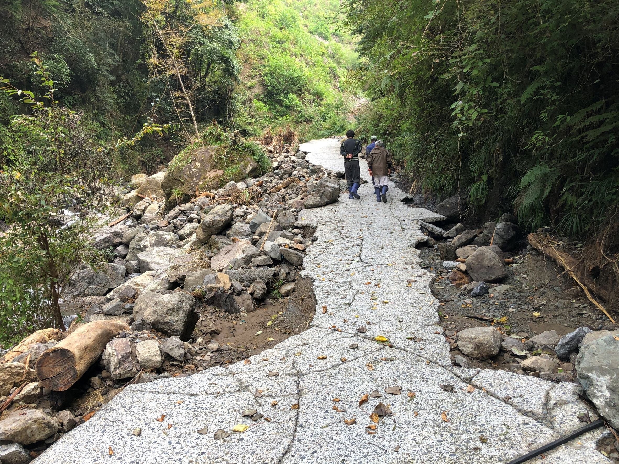 わさび田に行くための車道も崩壊