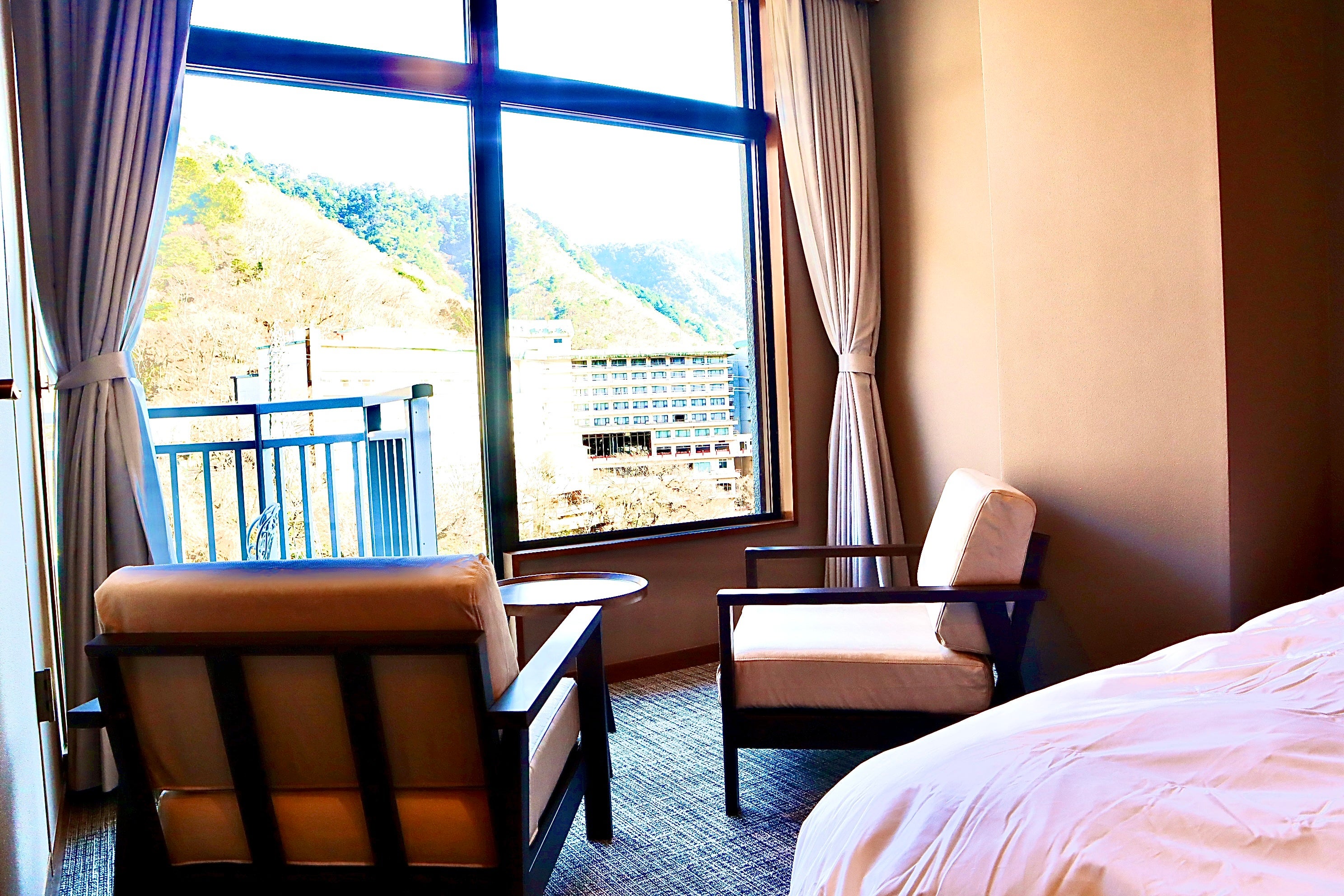 特別和洋室からの景色