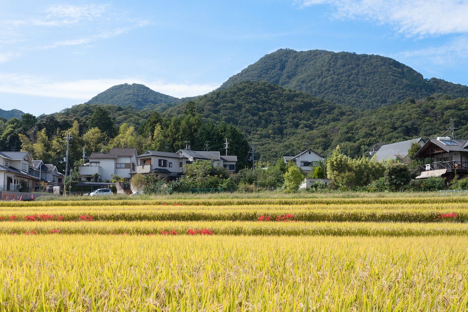 二上山周辺