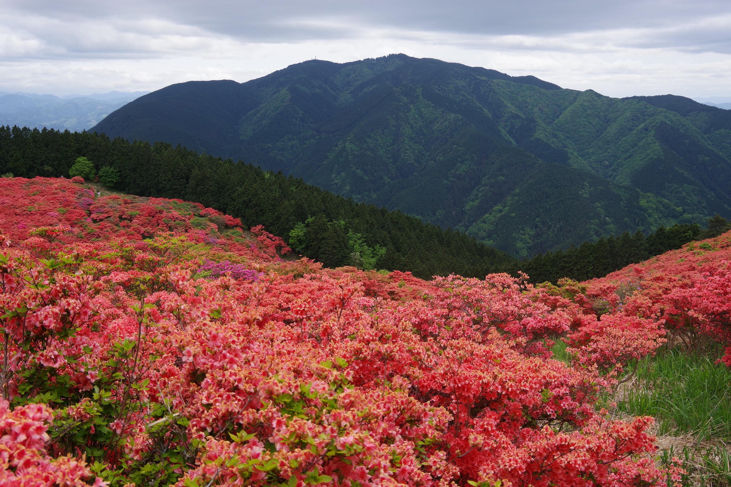 日本遺産「葛城修験（かつらぎしゅげん）」をめぐる『巡礼の旅』を提案