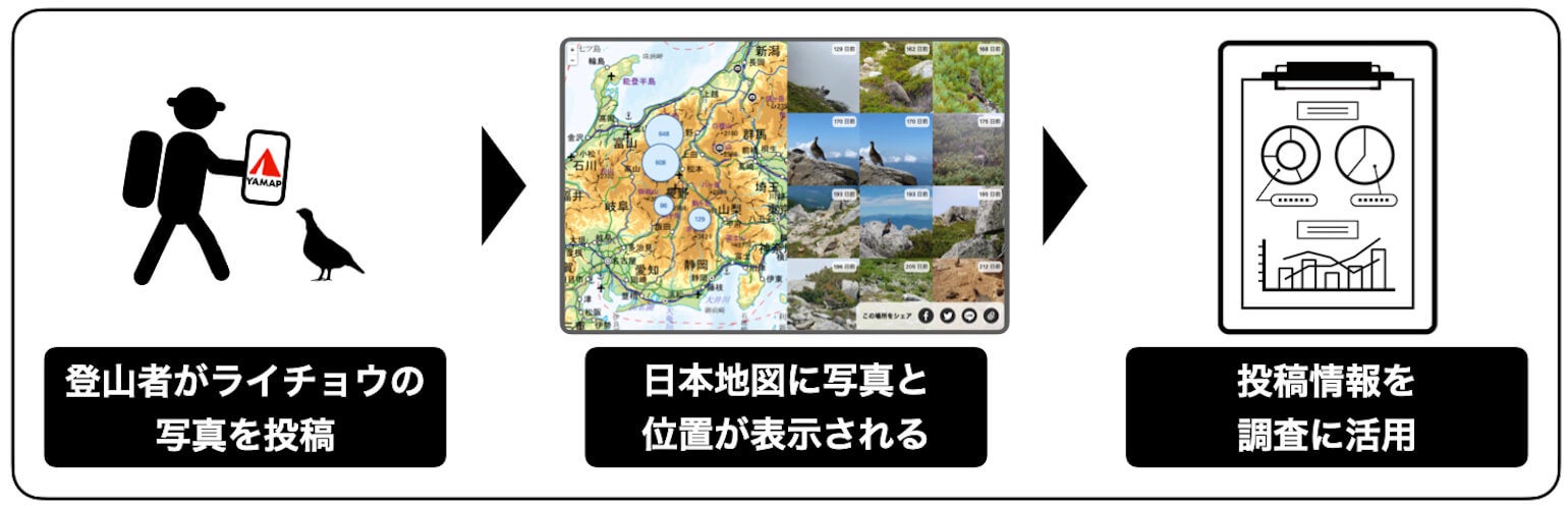 「ライチョウモニター」はおもに重点調査エリアの特定に活用され、投稿された情報をもとに、調査員が現場に赴き、ライチョウの状況確認・保護活動を実施。ストックされたデータは、季節別目撃例分布状況の把握、生息域の経年変化を導き出す資料としても活用する。