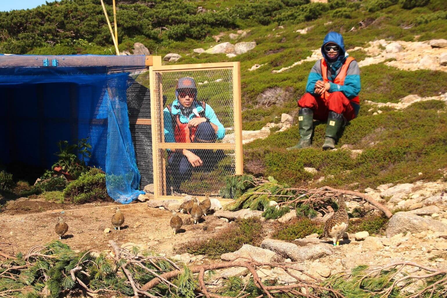 ゲージ保護の様子