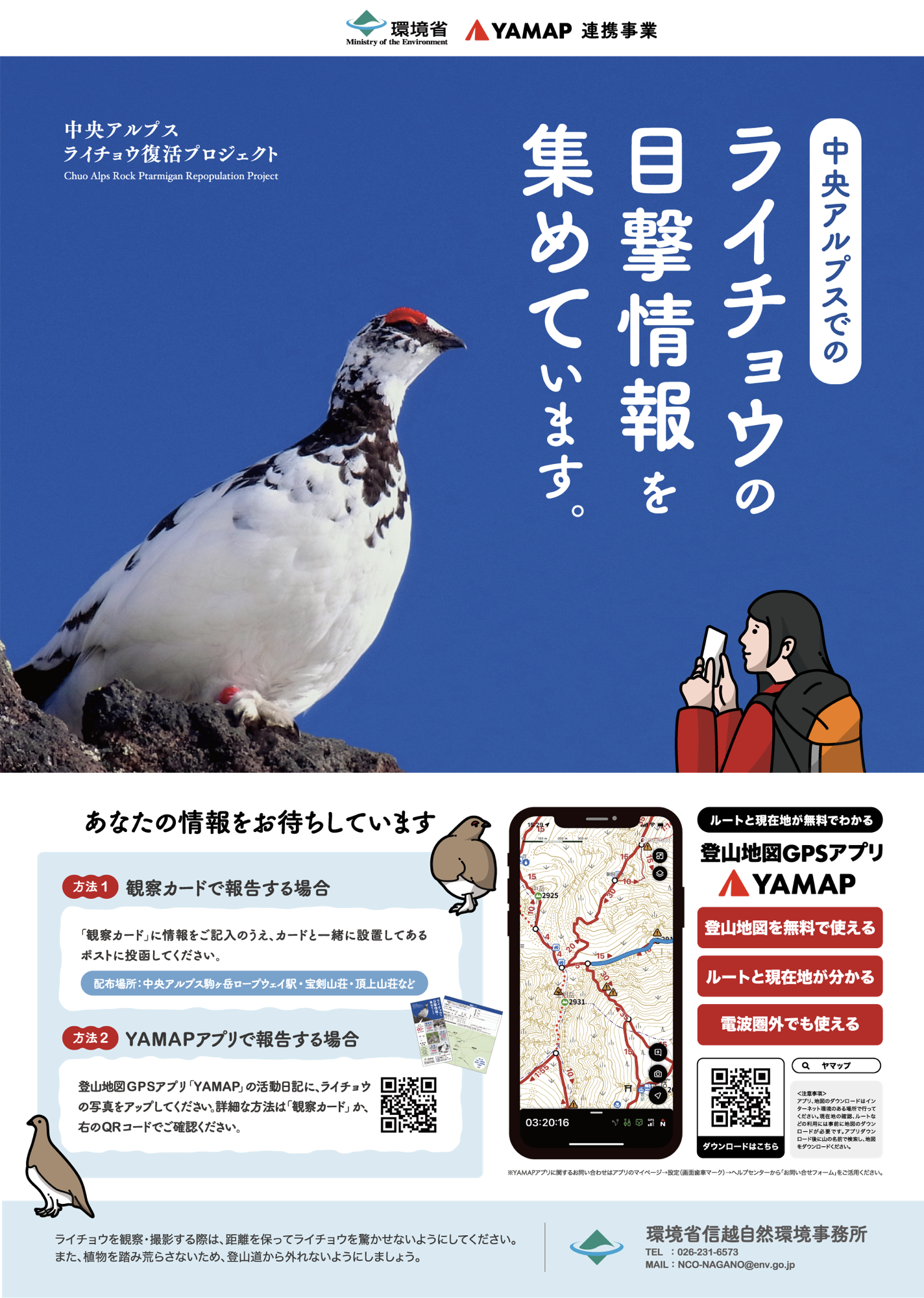 中央アルプス山系の登山口やビジターセンターにポスターを掲示。登山者へ参加協力を呼びかけるとともに、ライチョウにストレスを与えないよう、適切な観察と撮影を留意いただくマナー啓発も図っていく。