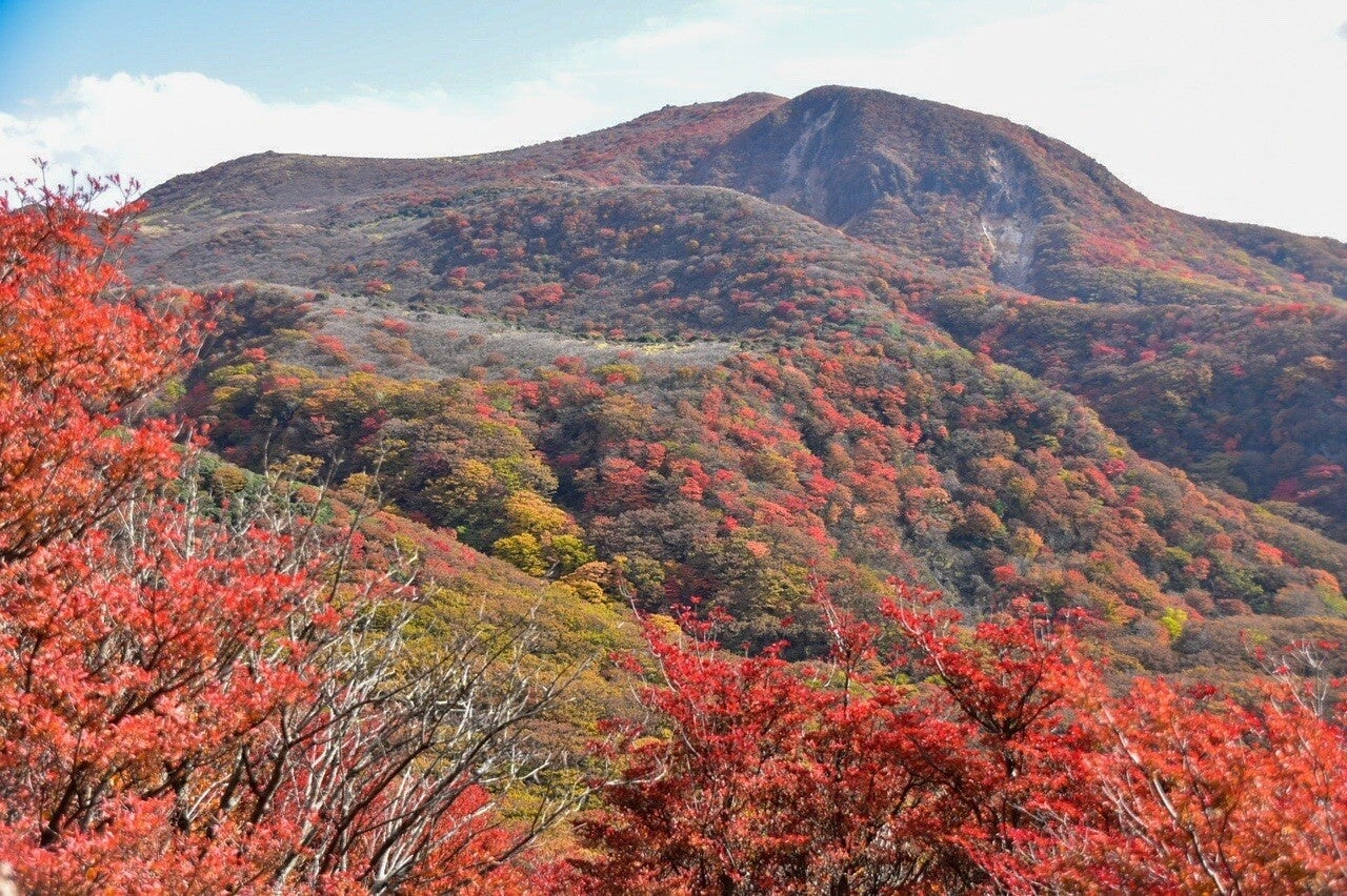 ま*ん様 ★　22 昭和年号 赤色山風景 切手シート 20枚 未使用 ★ PHOTOWALL / Hokusai,Katsushika - Red Fuji (e10404) | 輸入